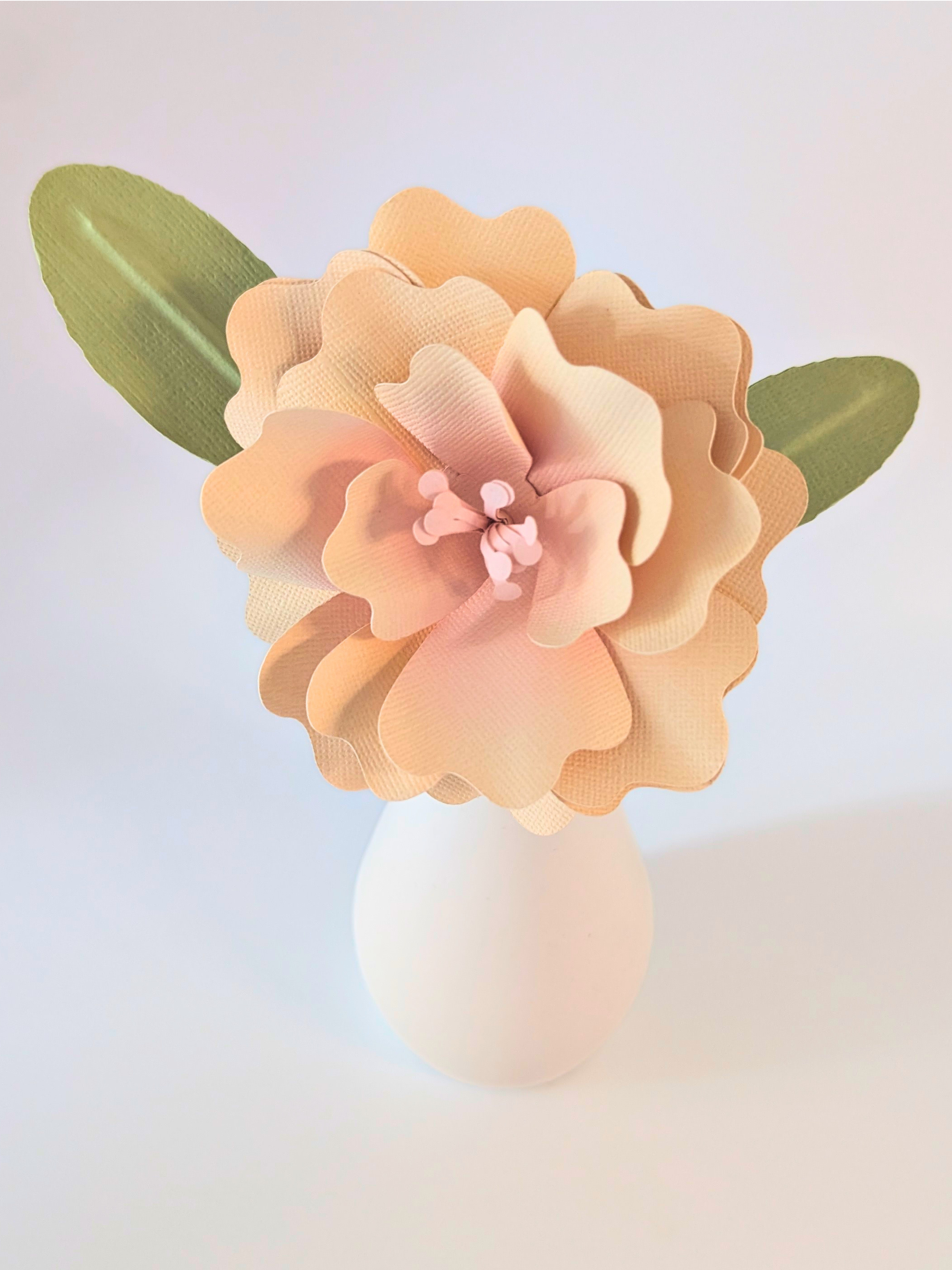 tppc-pop-ruffled-rose-vanilla-blush-1.png