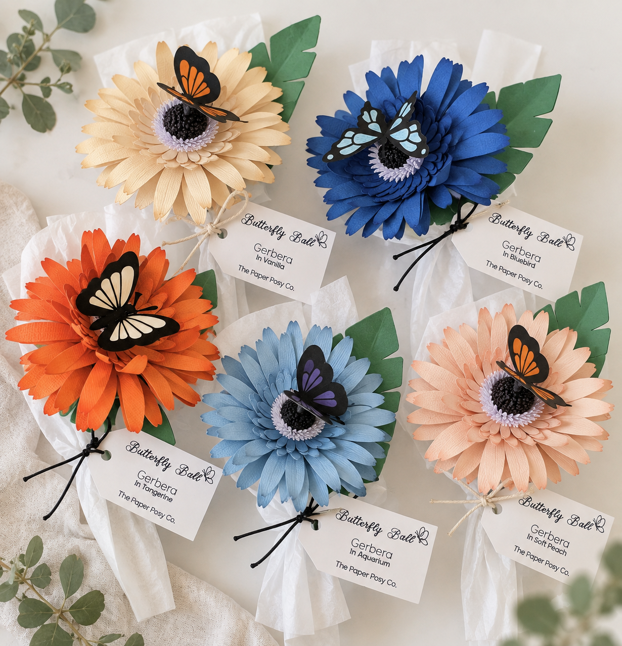 Gerbera Posy Pop - Butterfly Ball Limited Edition 2026