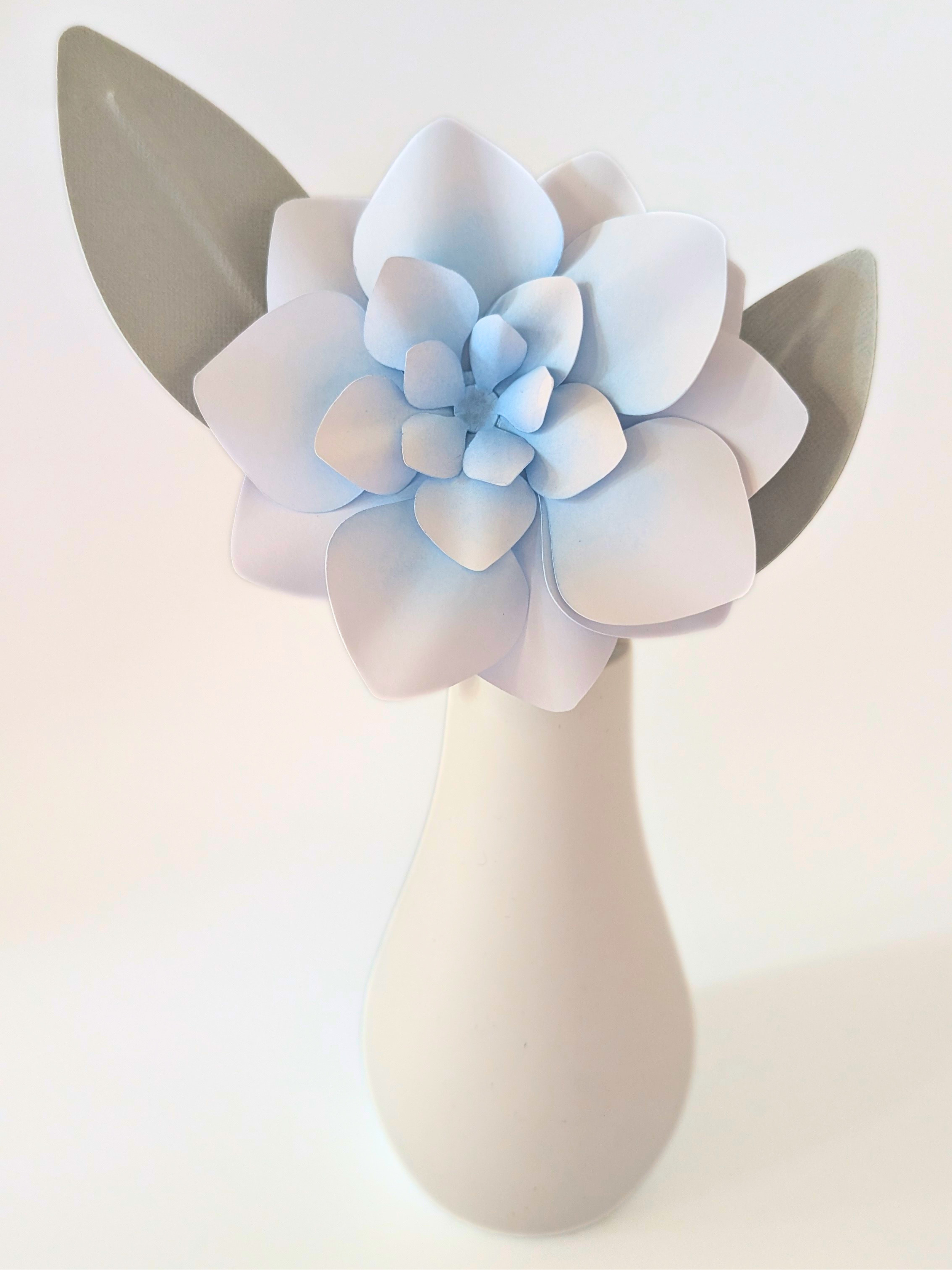 tppc-pop-gardenia-daydream-4.png