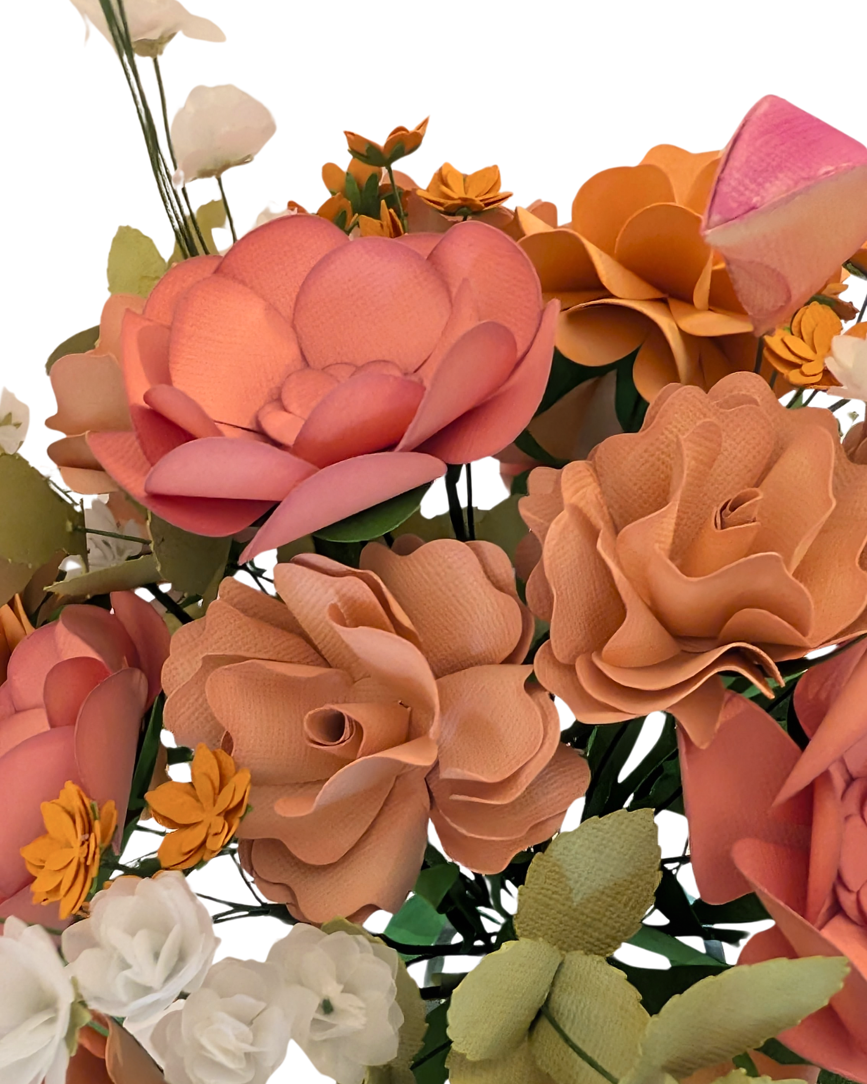 Peach Please_Close up 4_5_2.png