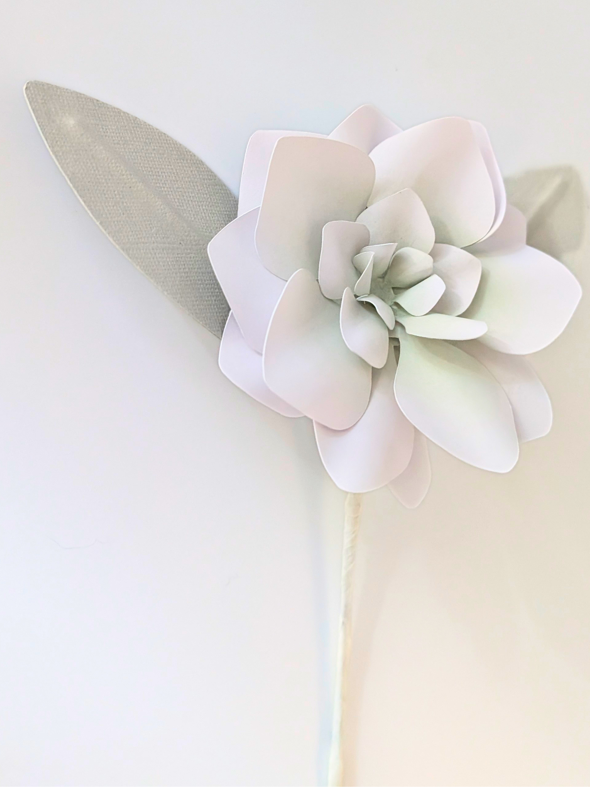 tppc-pop-gardenia-celadon-mist-2.png