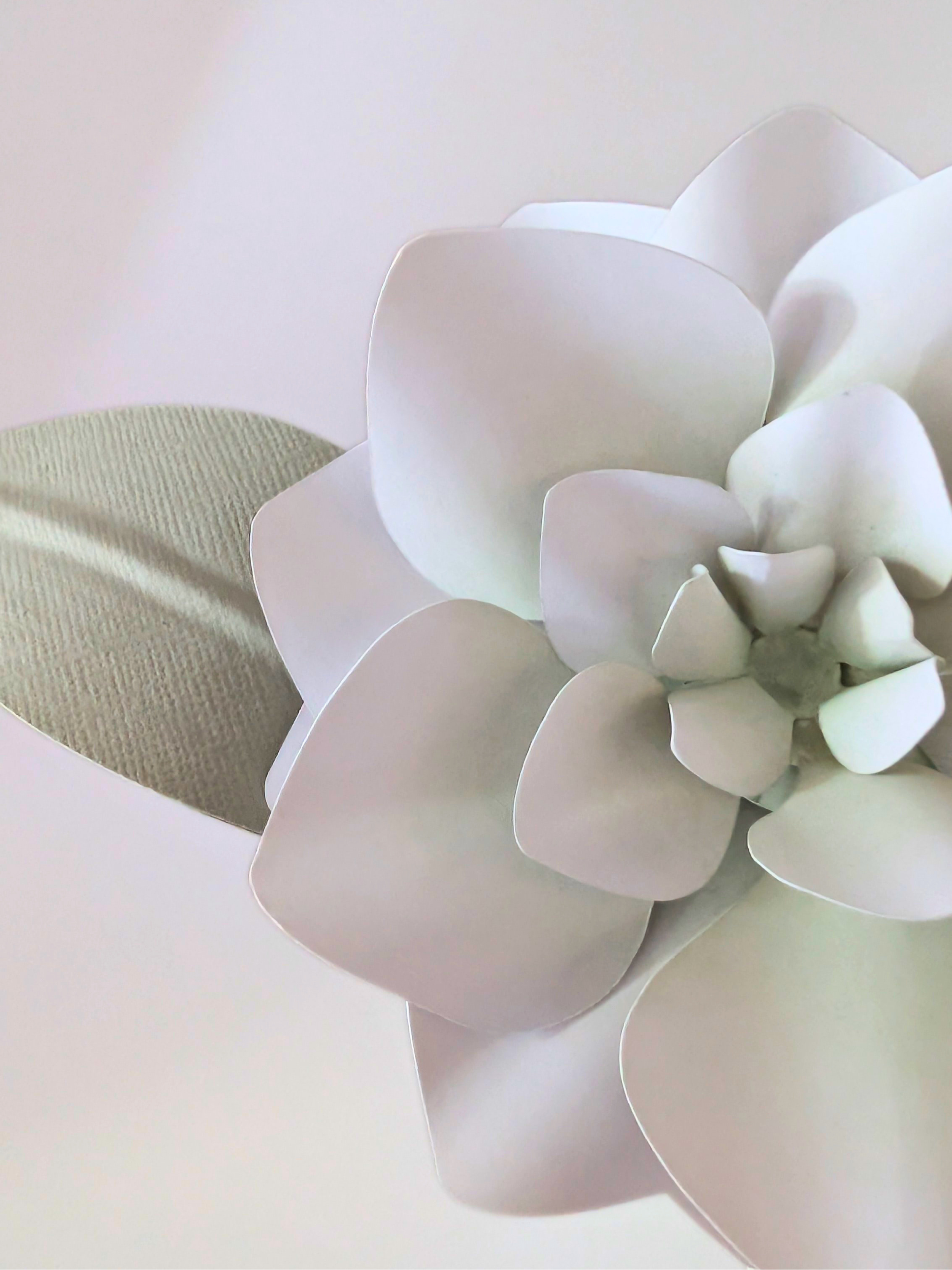 tppc-pop-gardenia-celadon-mist-1.png