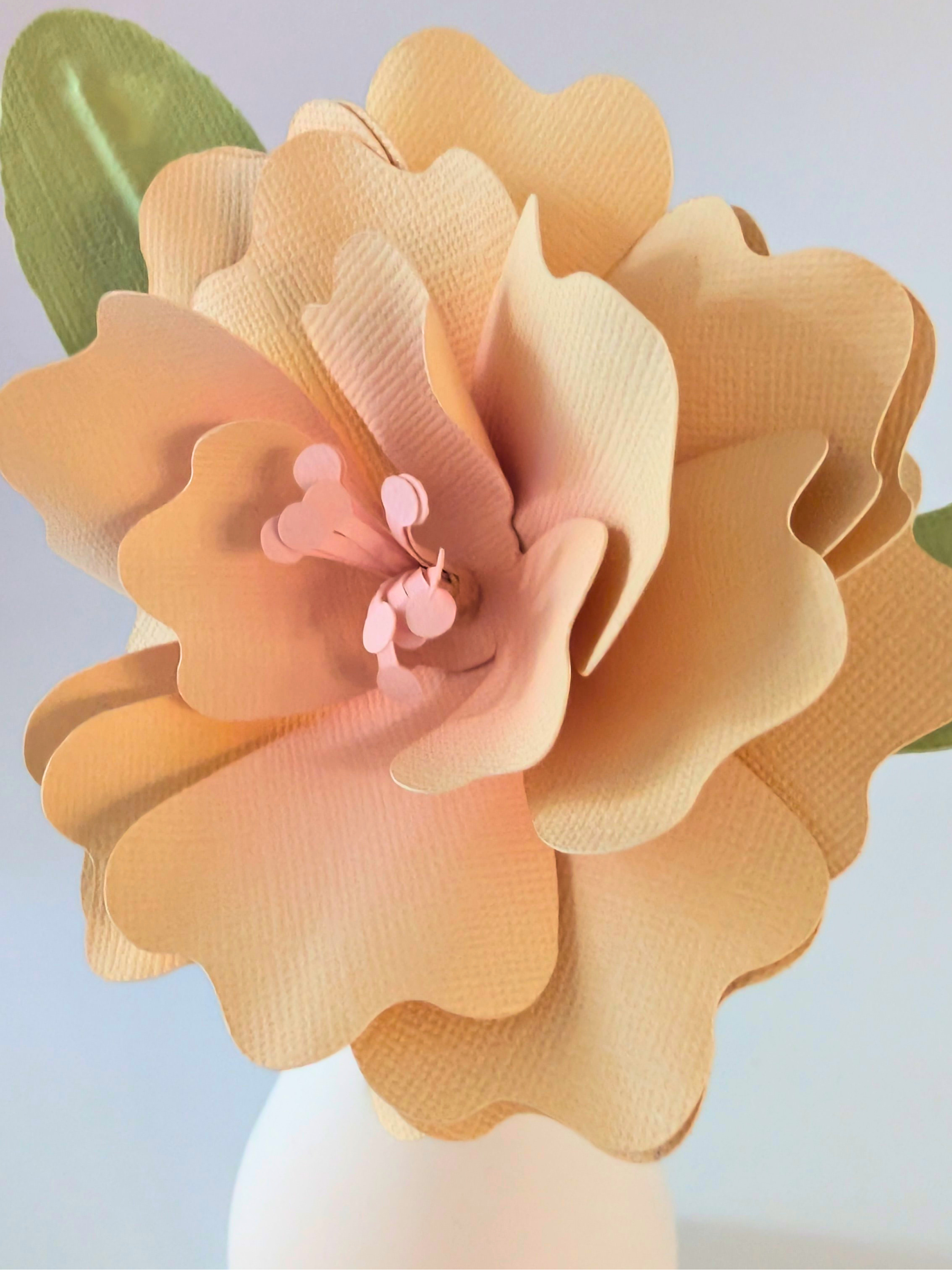 tppc-pop-ruffled-rose-vanilla-blush-3.png