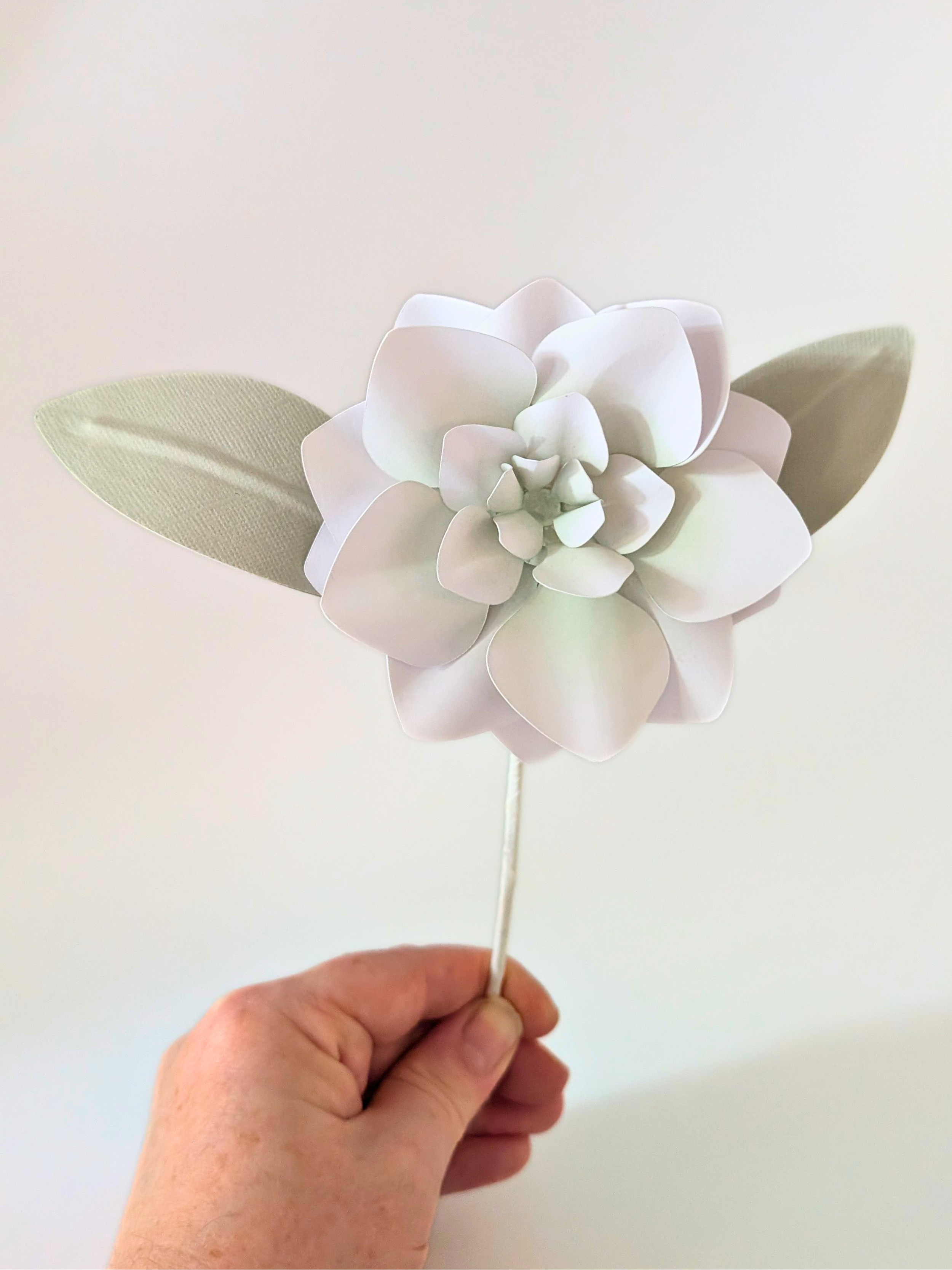 tppc-pop-gardenia-celadon-mist-3.png