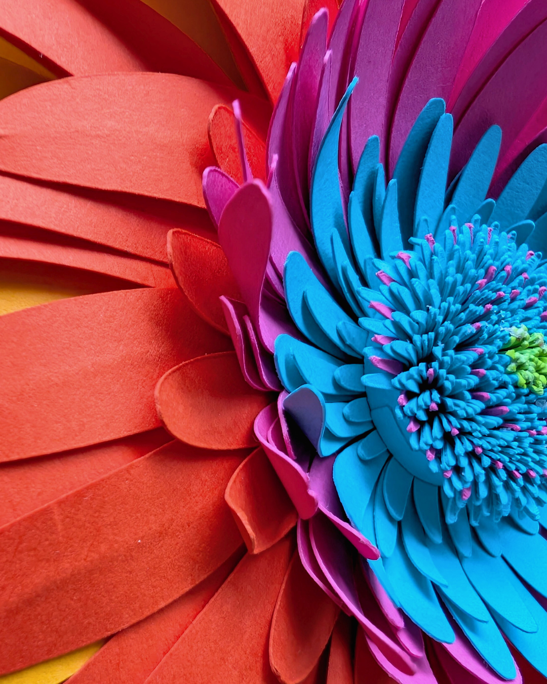 VALENTINE’S 2026_ACCOMPLICE-WEB3.png