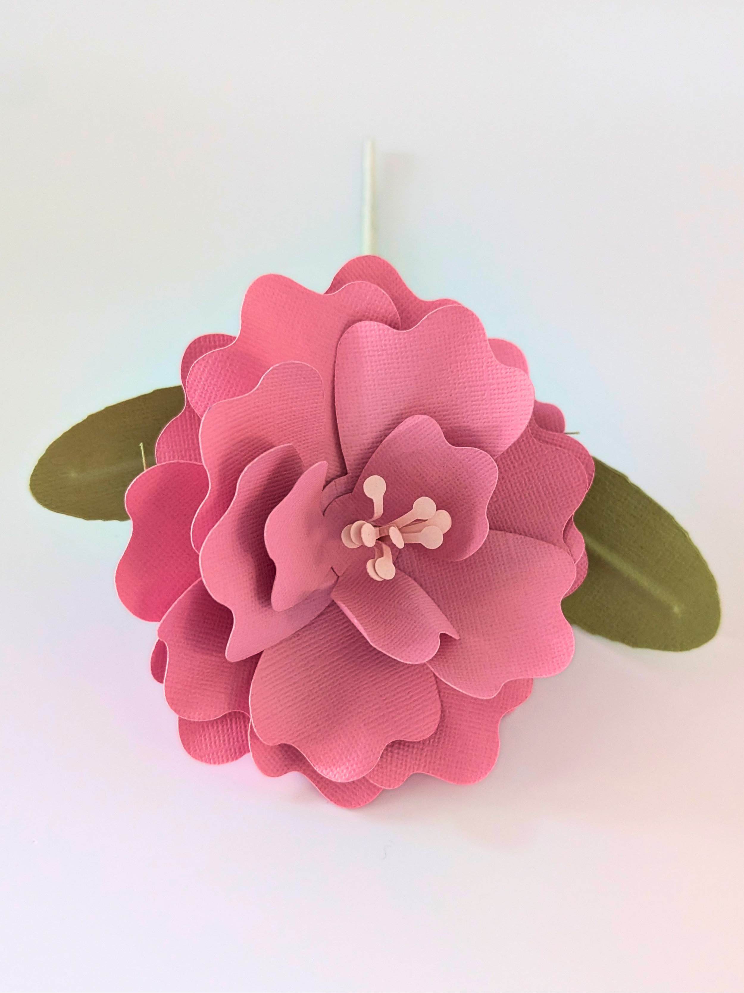 tppc-pop-ruffled-rose-pop-pink-3.png