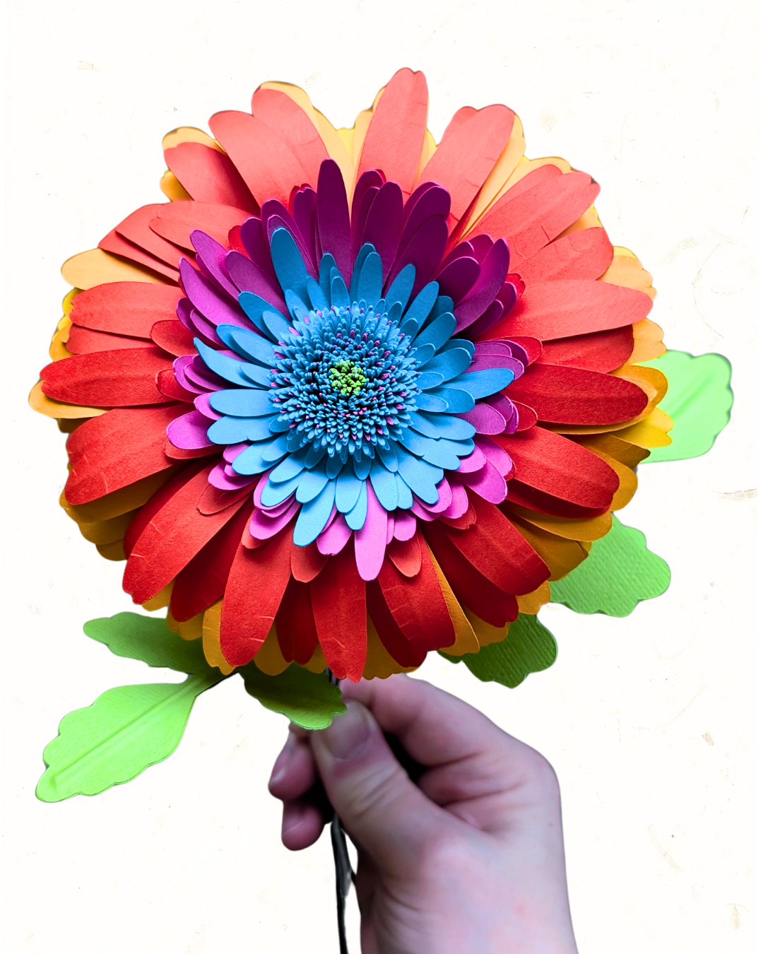 Accomplice - Limited Edition Posy Pop - Valentine's 2026