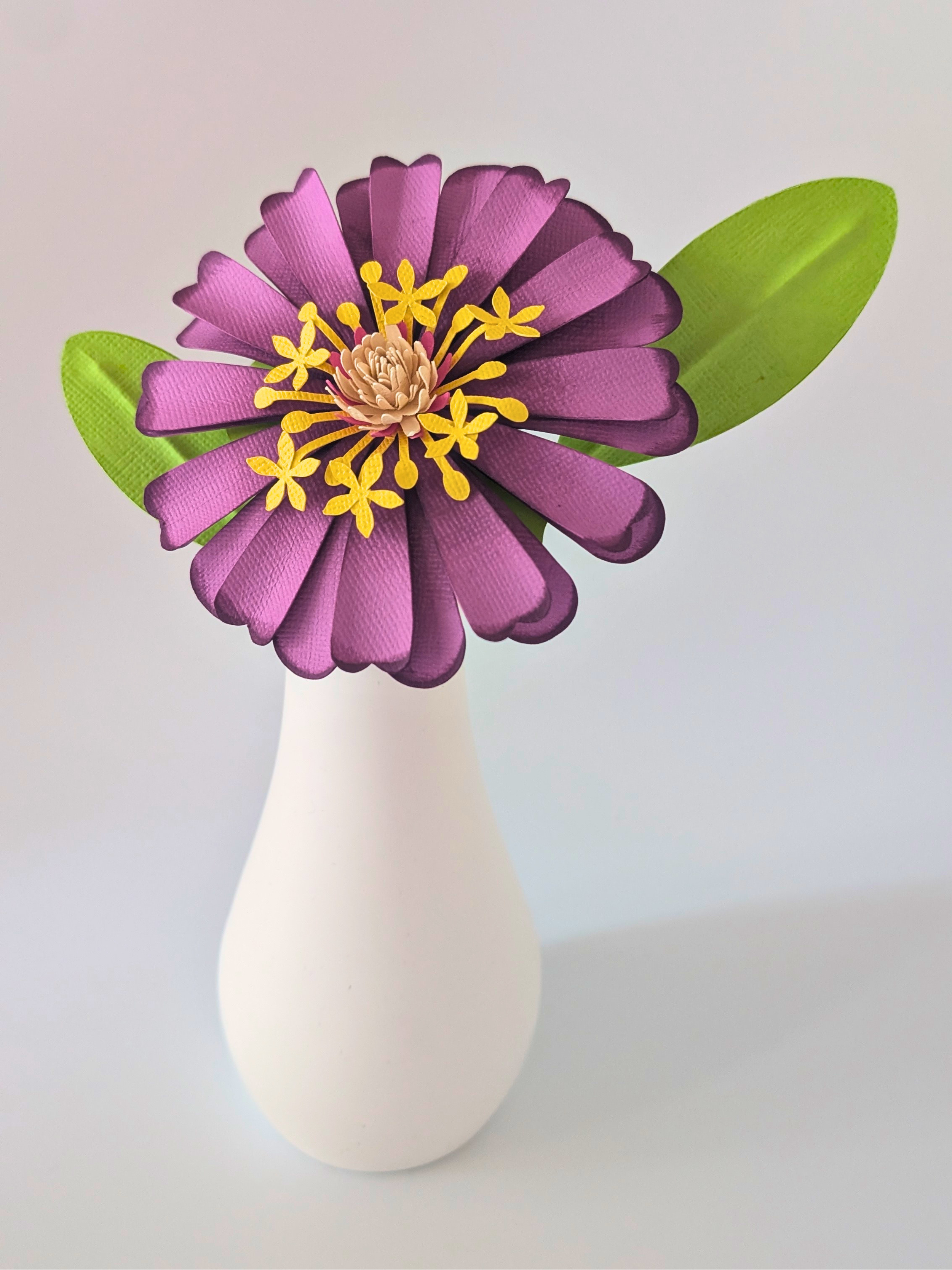 tppc-pop-zinnia-wild-amethyst-1.png