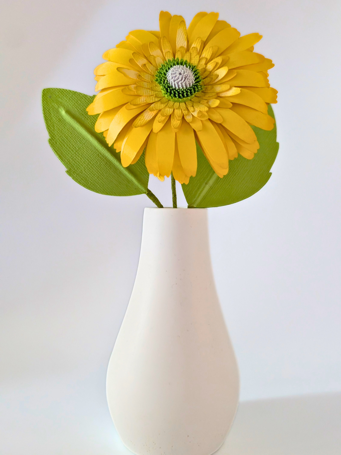 tppc-pop-gerbera-lemon-grove-4.png
