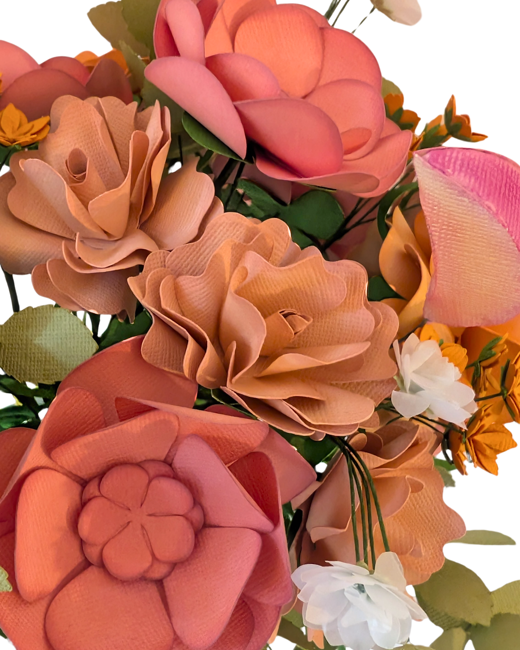 Peach Please_Close up 4_5_1.png