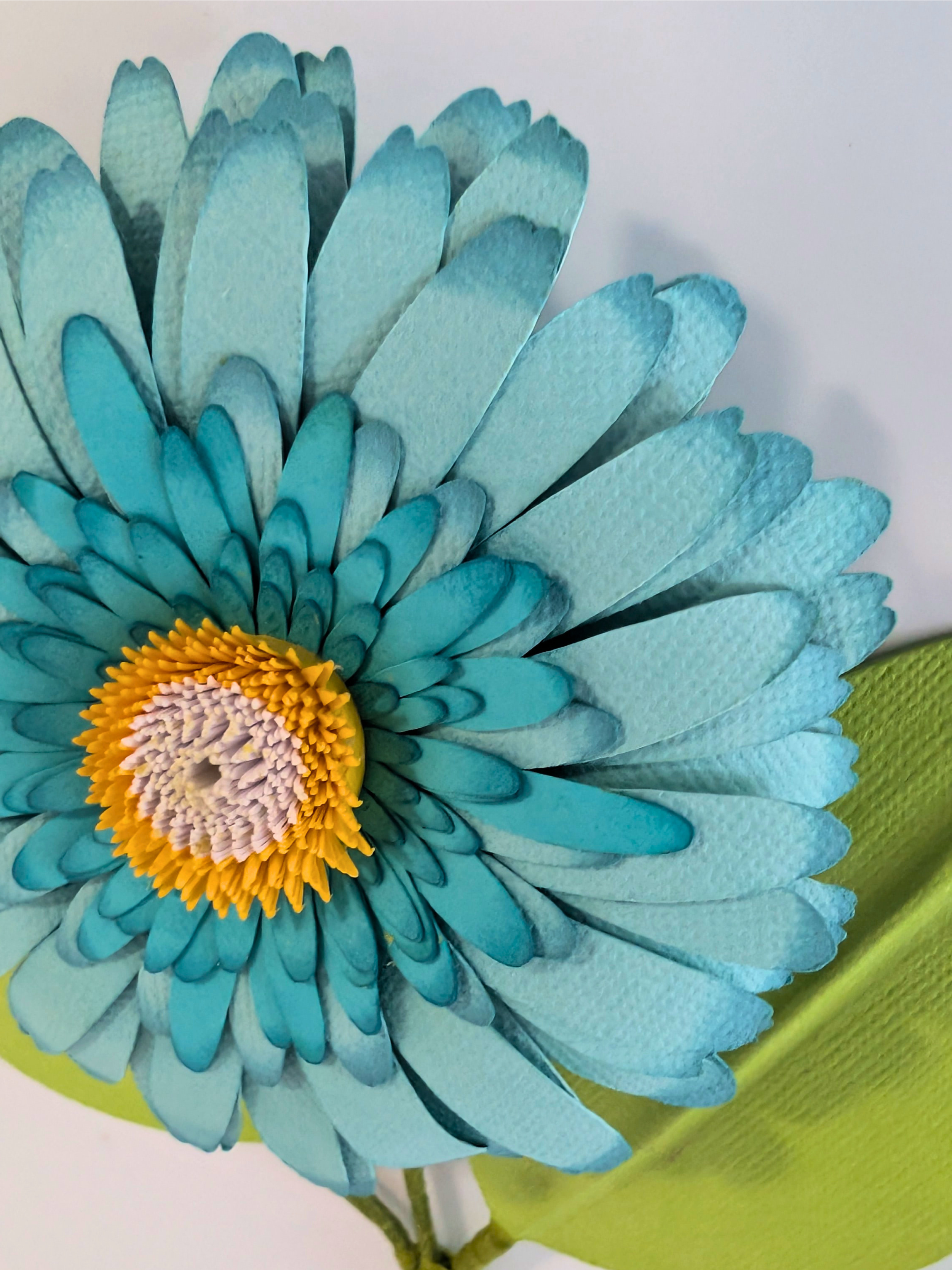 tppc-pop-gerbera-blue-lemonade-3.png