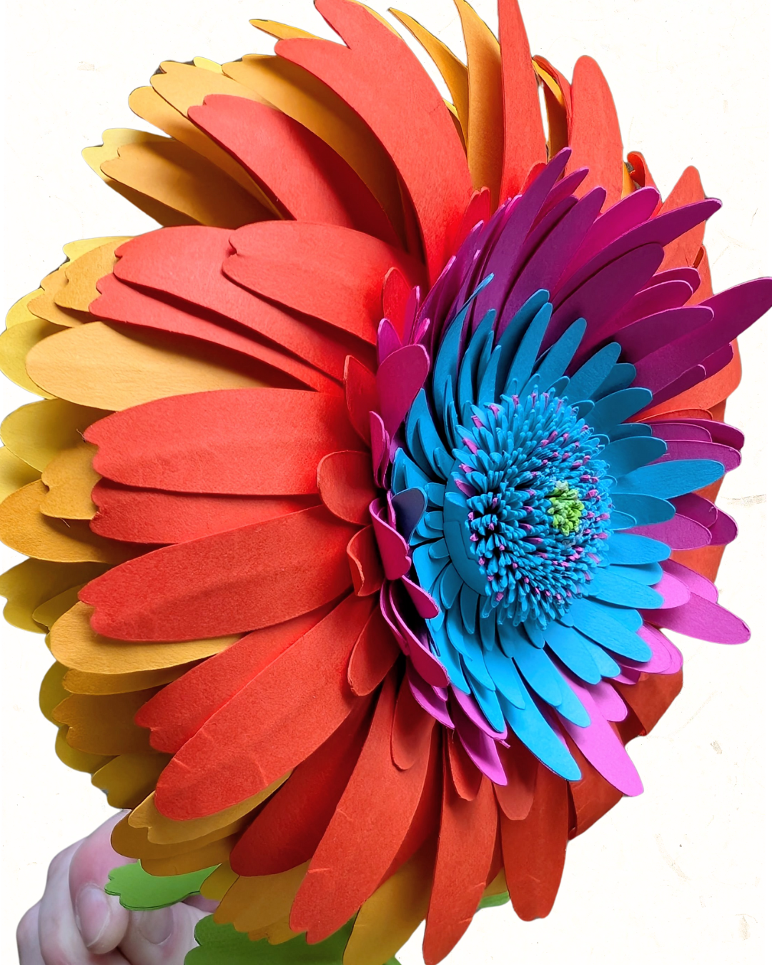 VALENTINE’S 2026_ACCOMPLICE-WEB1.png