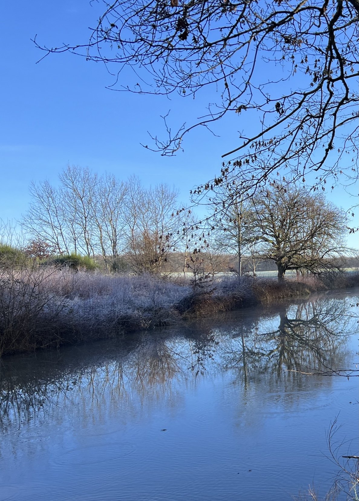 vue dégagée sur l'étang de la Boursicauderie sous le ciel bleu