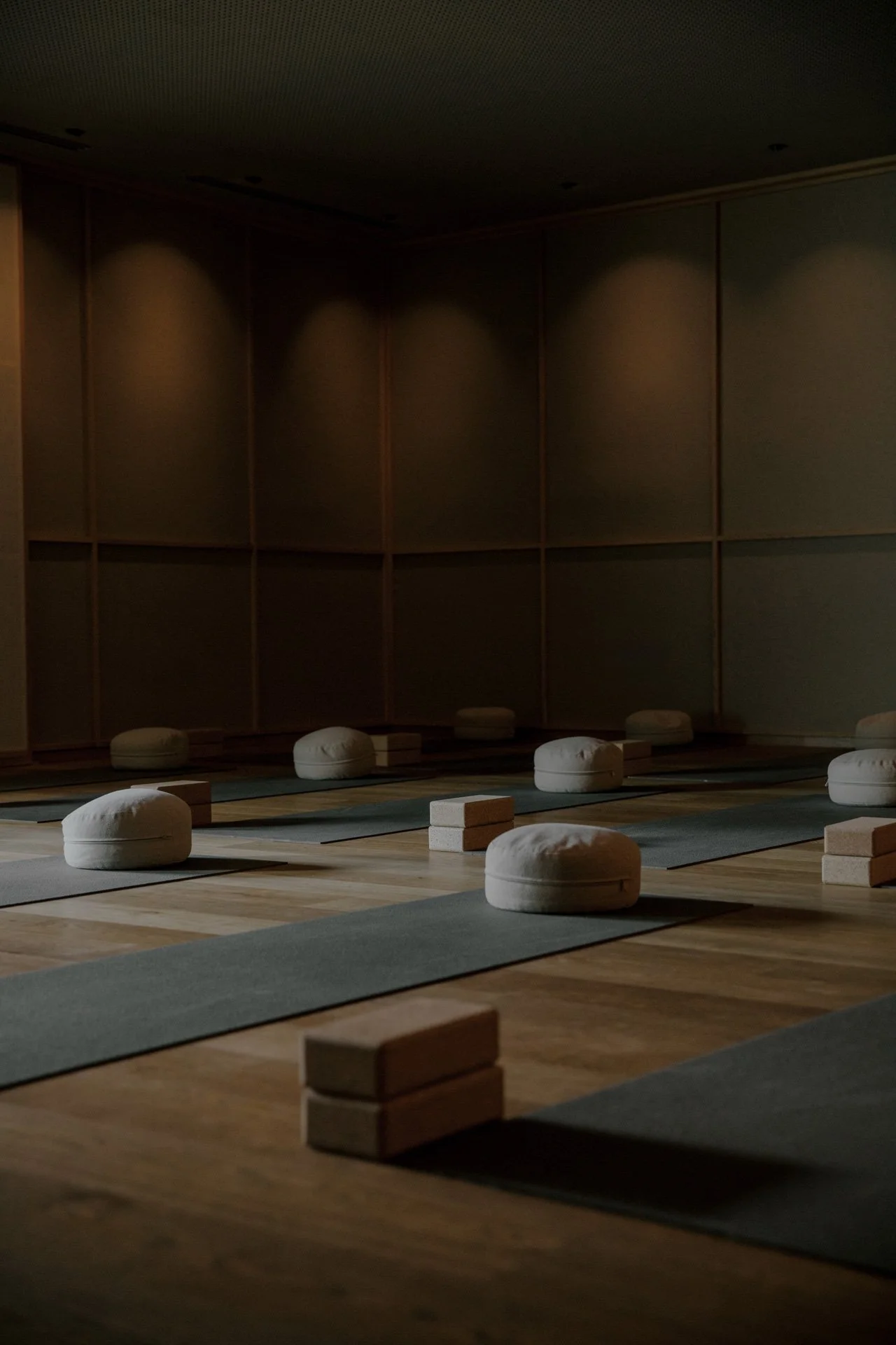 Victoria Harrison (124).jpg