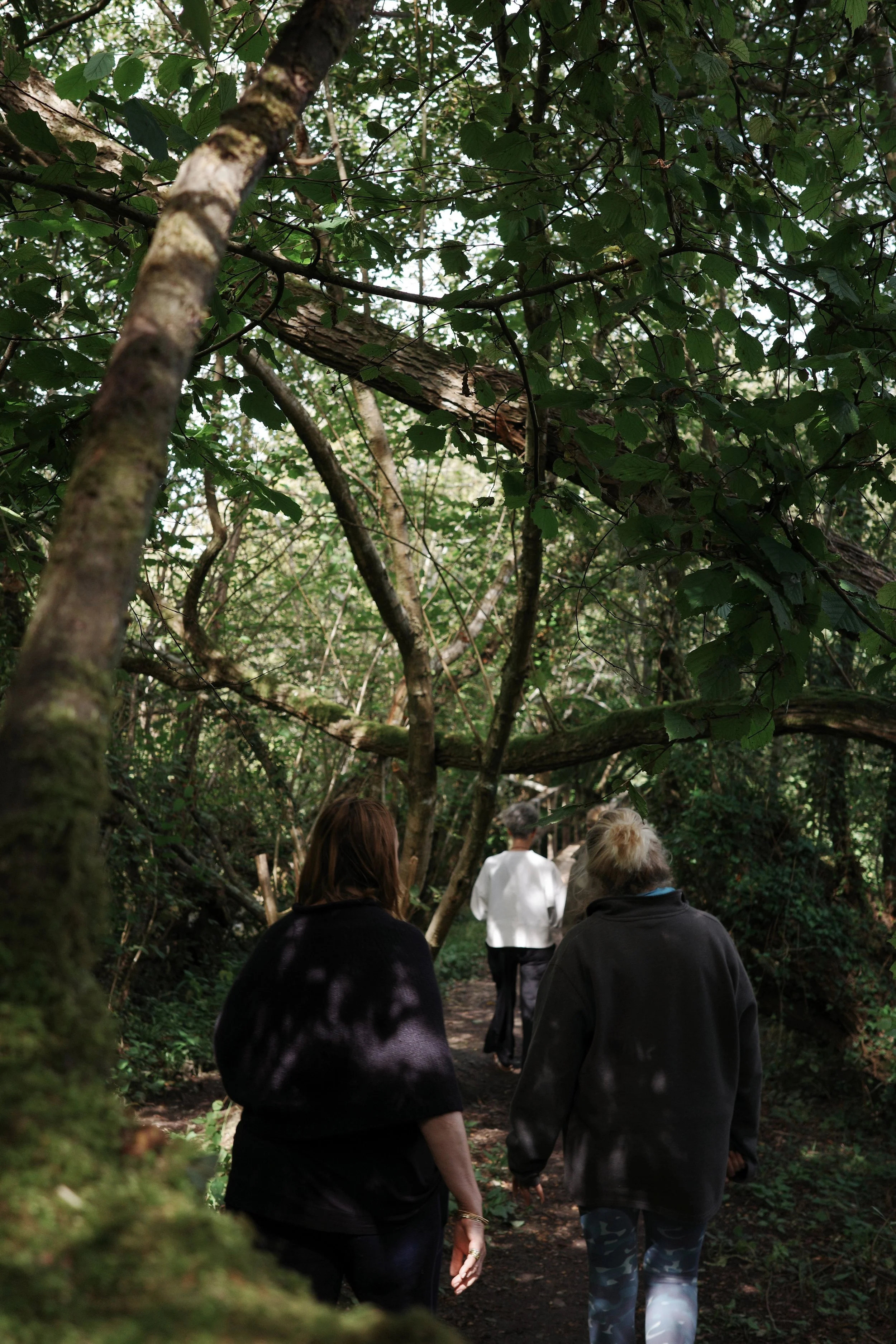 Photo 06-09-2025, 13 56 42.JPG