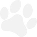 Silhouettes of various animals on a white background.