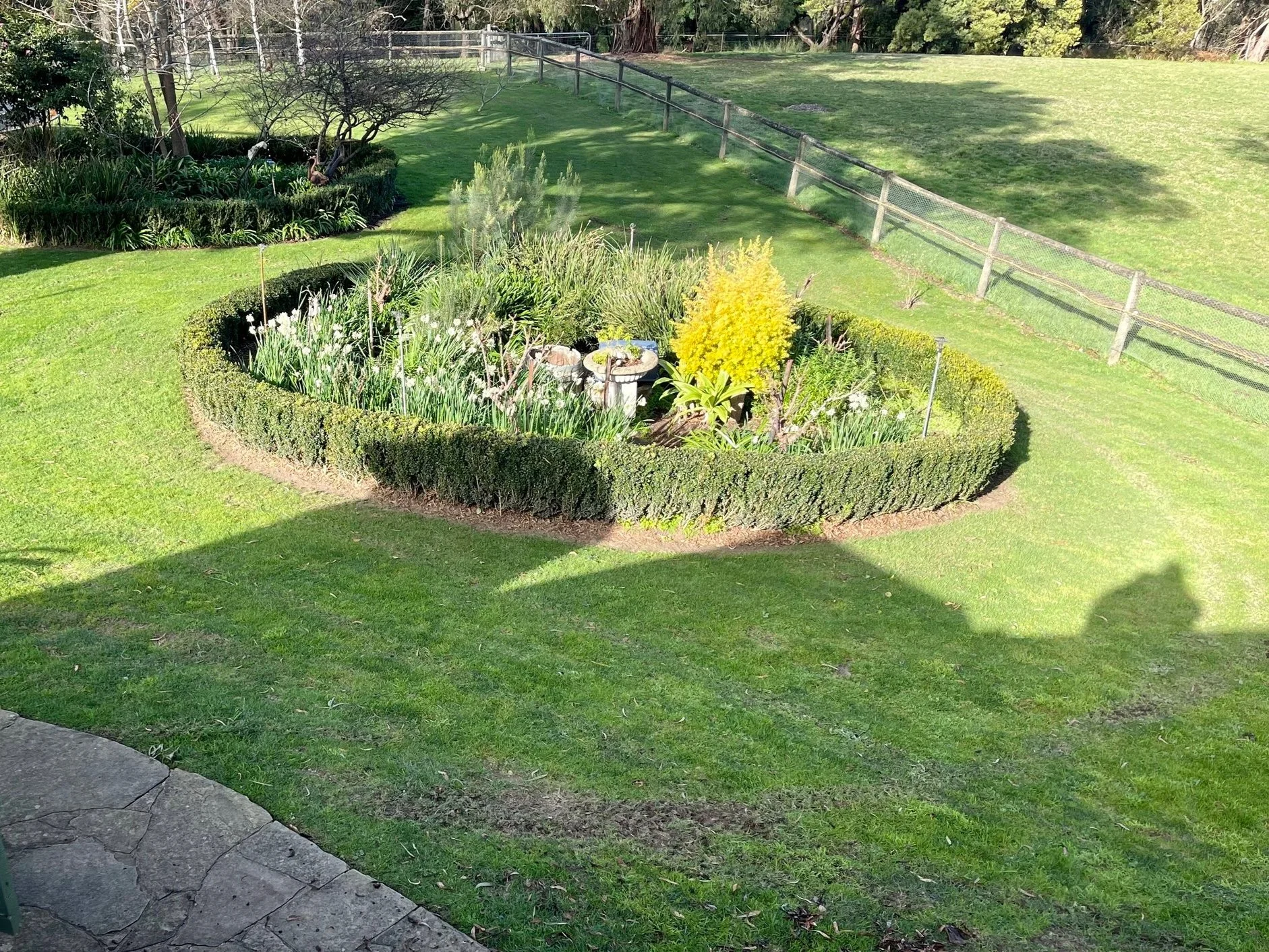 A circular garden bed with a neatly trimmed hedge border, filled with various plants and flowers, surrounded by a well-maintained lawn and positioned near a stone patio.