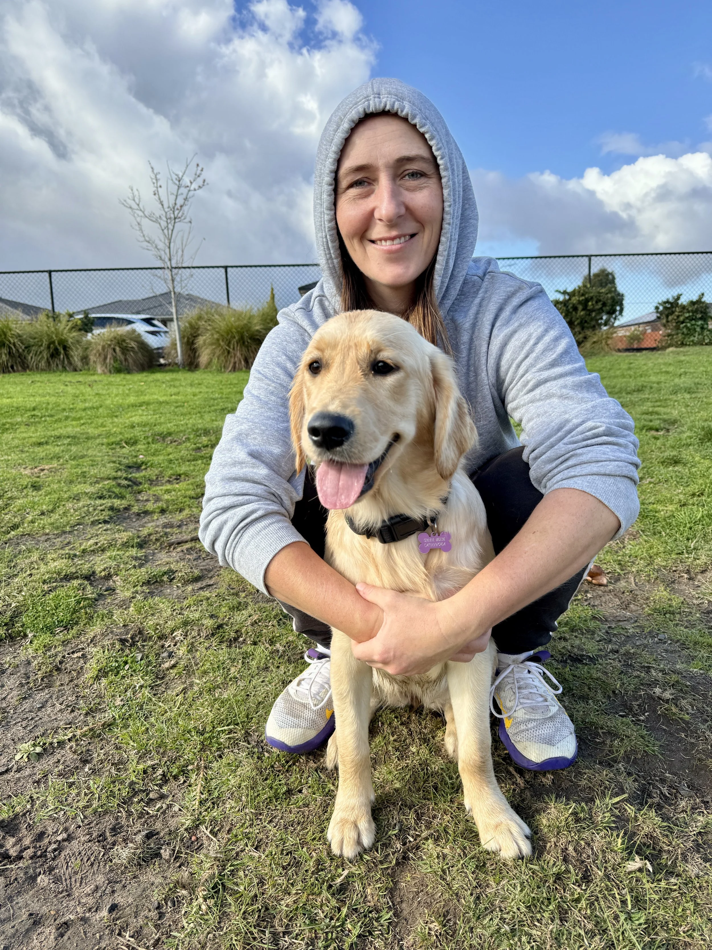 A woman in a gray hoodie squatting on grass while holding a happy golden retriever puppy with a purple collar, outdoors with cloudy sky and a chain-link fence in the background.