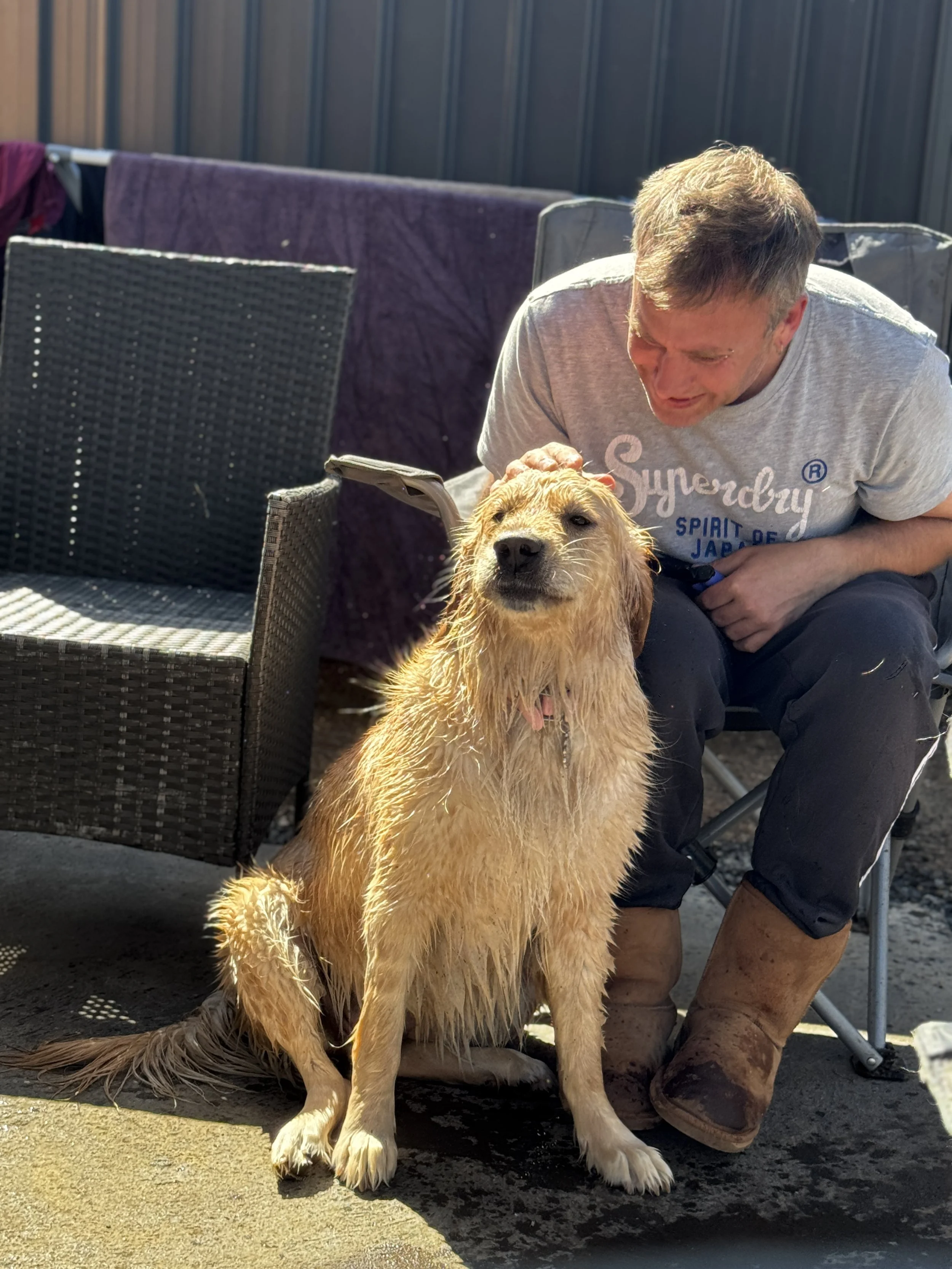 A man petting a wet, golden retriever sitting outdoors on a sunny day.