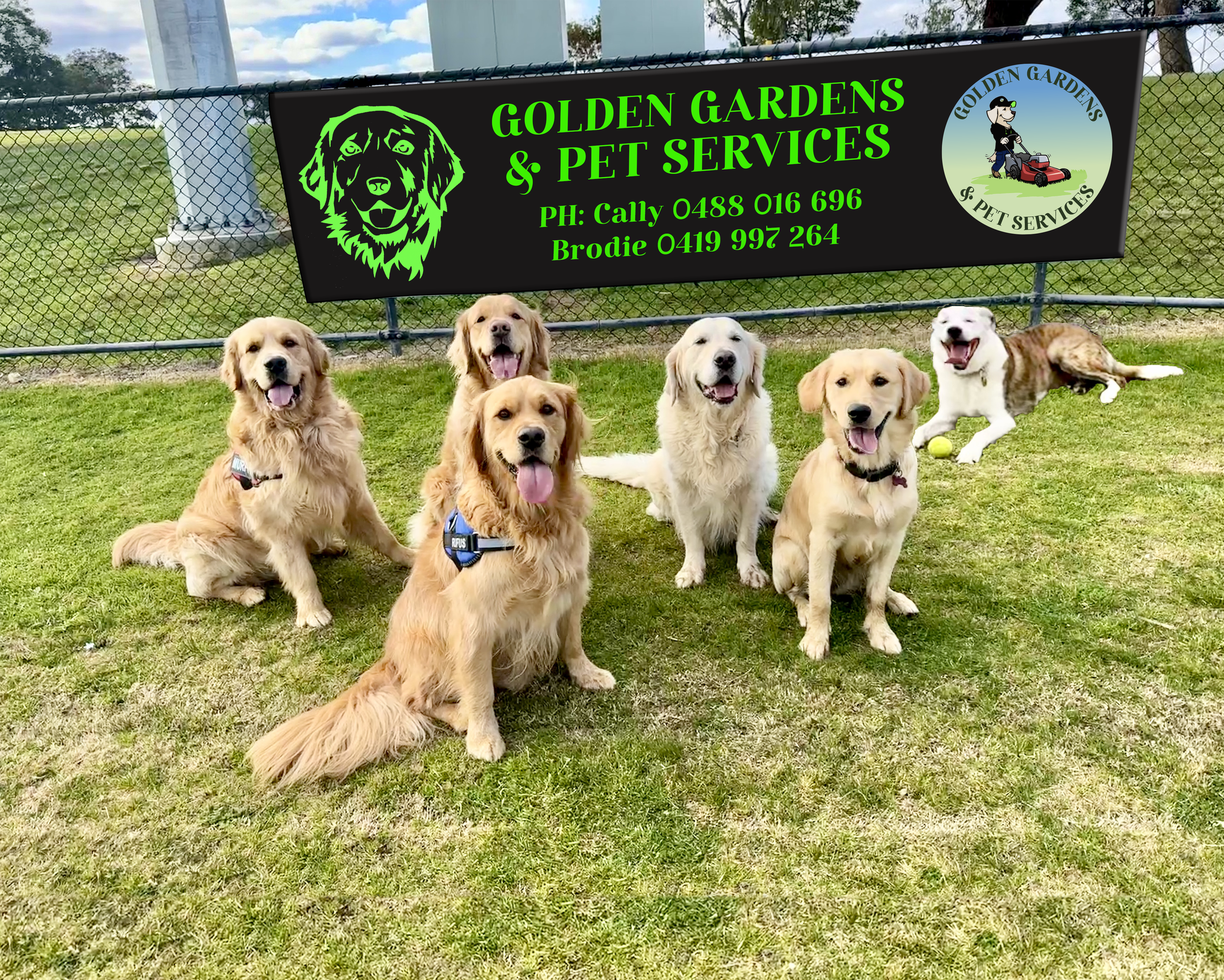 Sign for Golden Gardens & Pet Services with six dogs sitting and lying on grass in front of a fence.