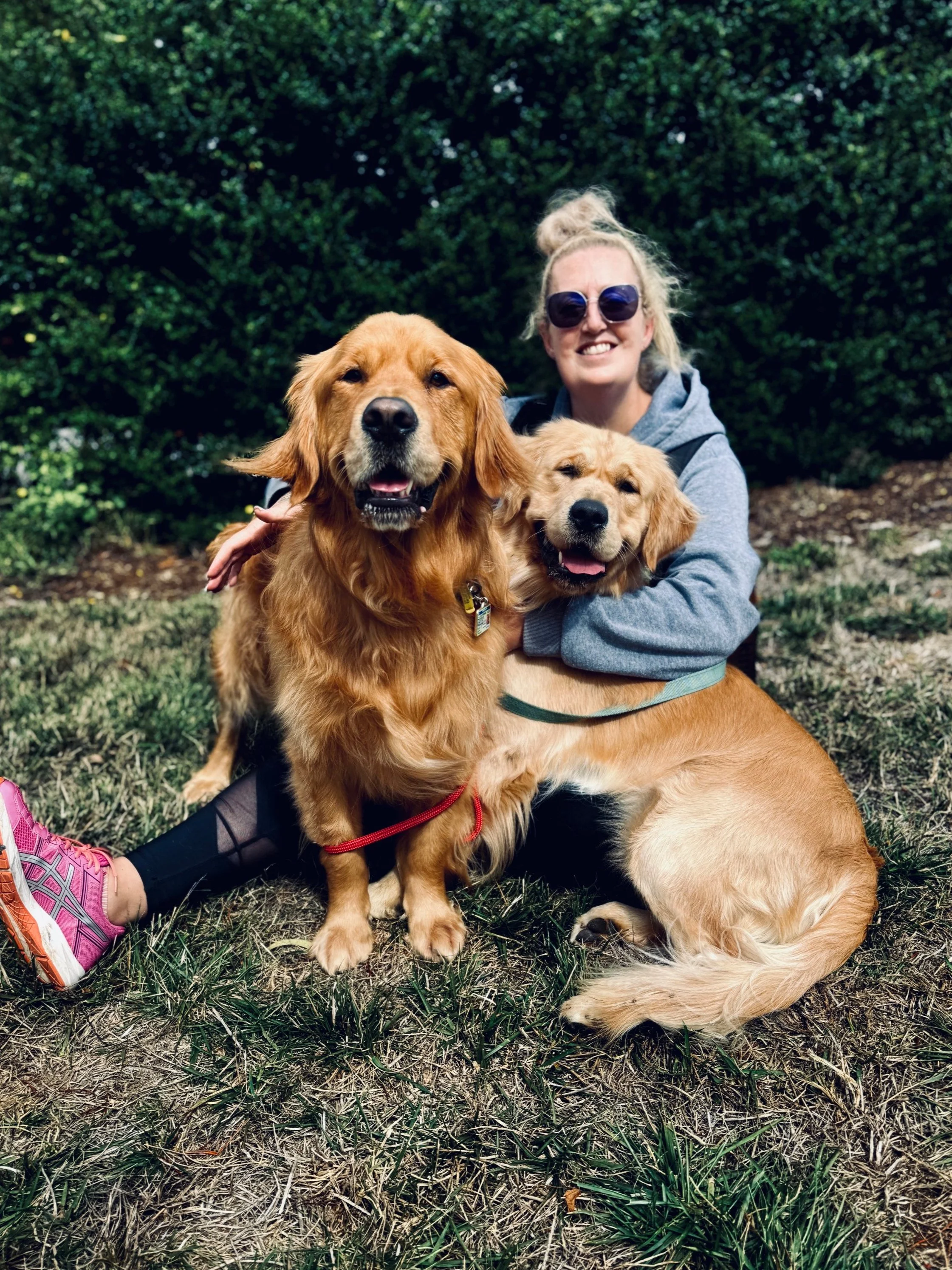 A woman with sunglasses sitting on grass, hugging two golden retriever dogs outdoors in front of green bushes.