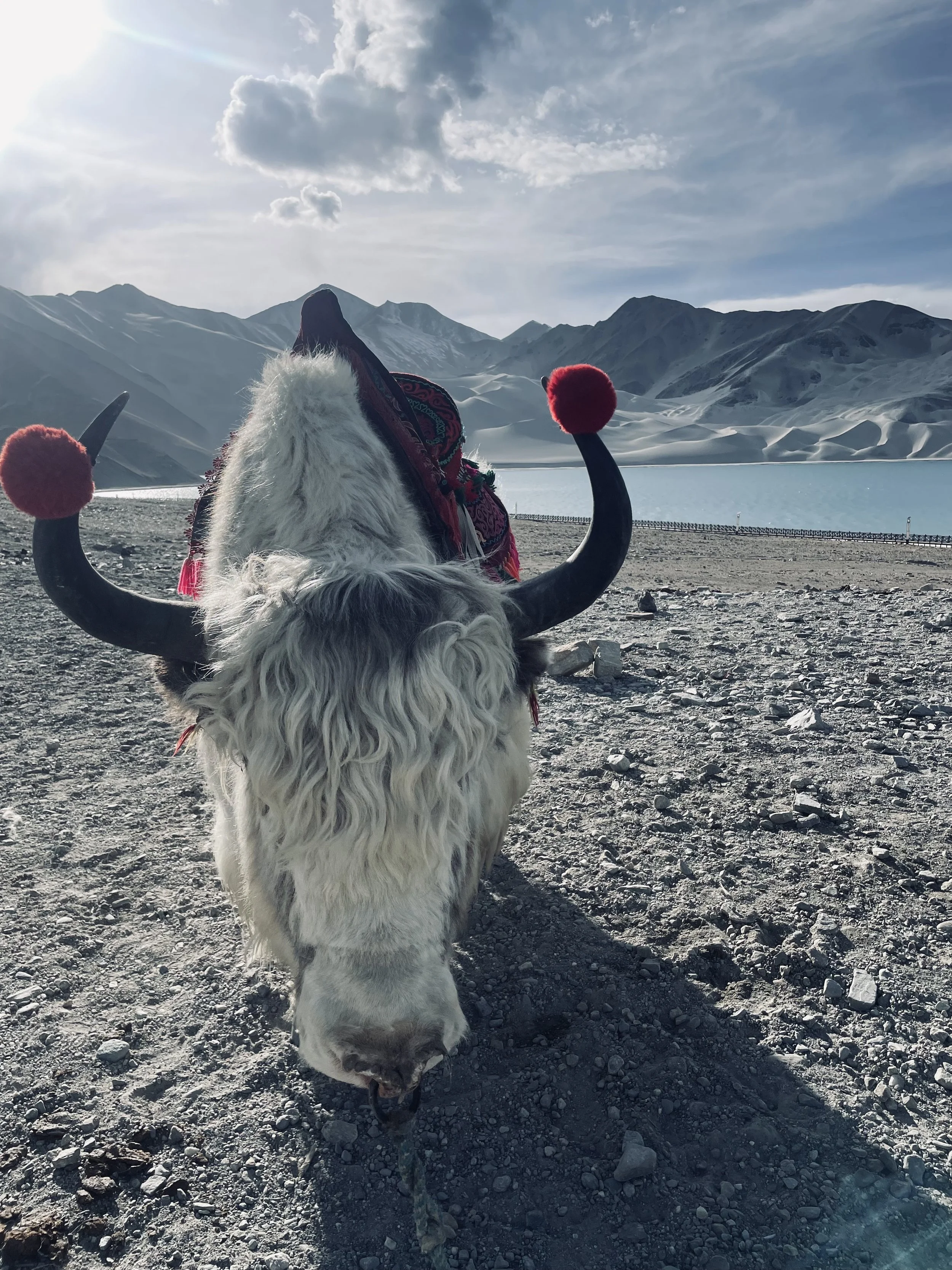 The Pamir Mountains