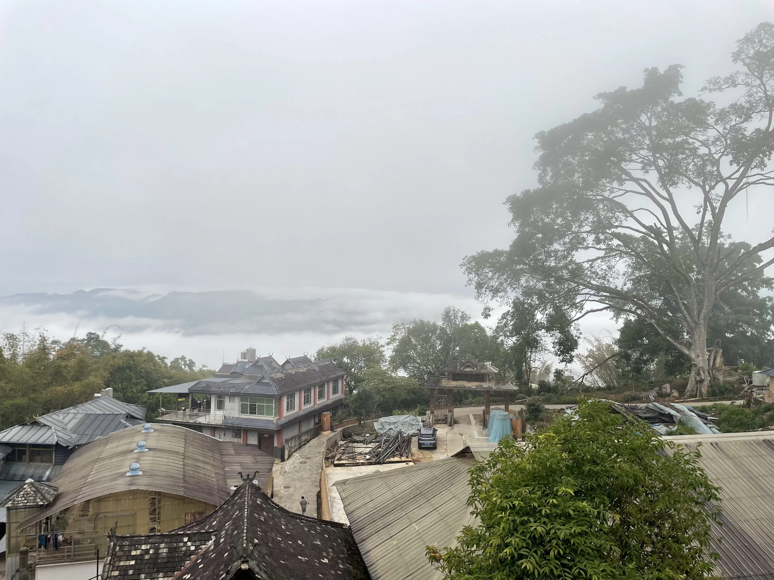 IMG_9302.jpeg