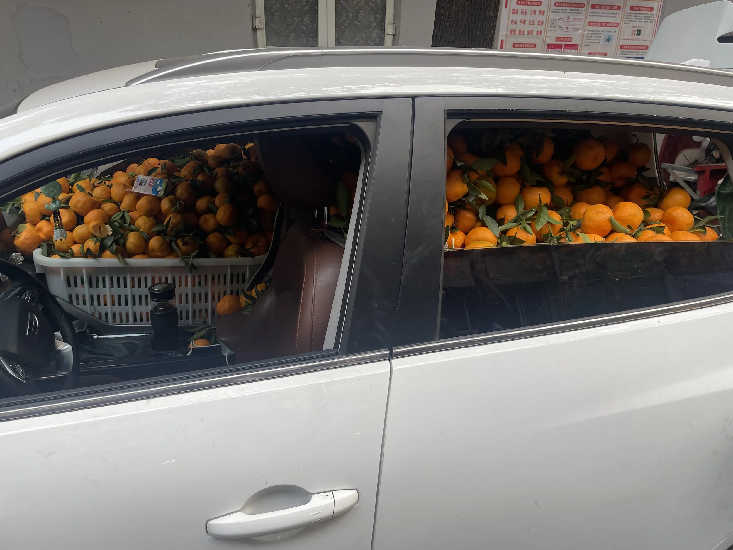 Silver car filled with oranges and orange leaves, parked in front of a wall with posters.