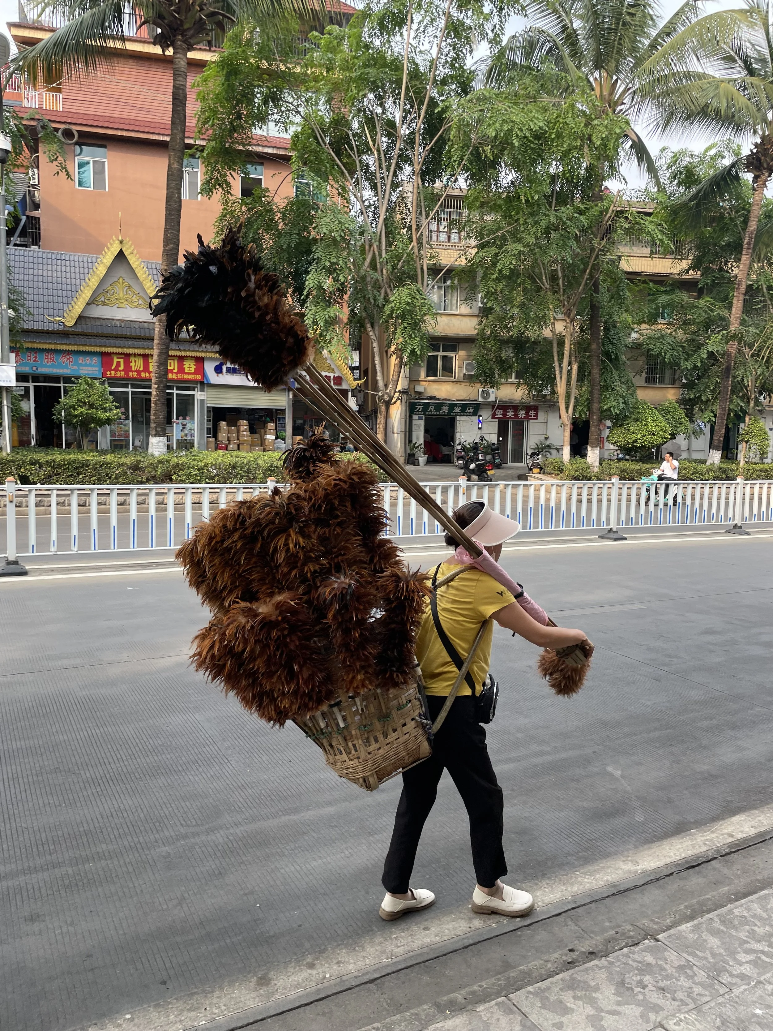 A street vendor carrying a large basket filled with colorful feathered costumes or decorations, walking along a city sidewalk with trees and buildings in the background.