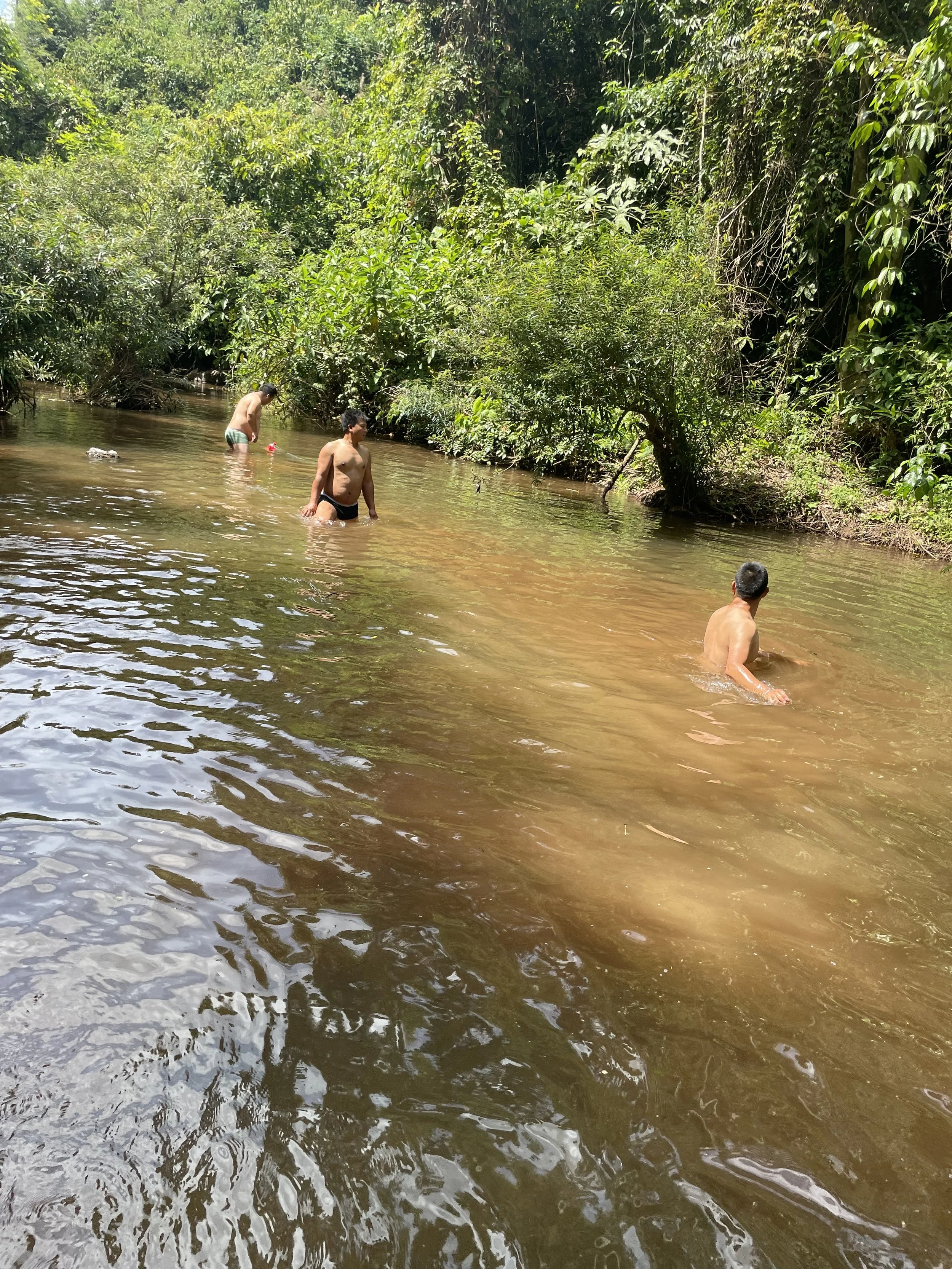 People swimming in a shallow, brown river surrounded by lush green trees and vegetation.
