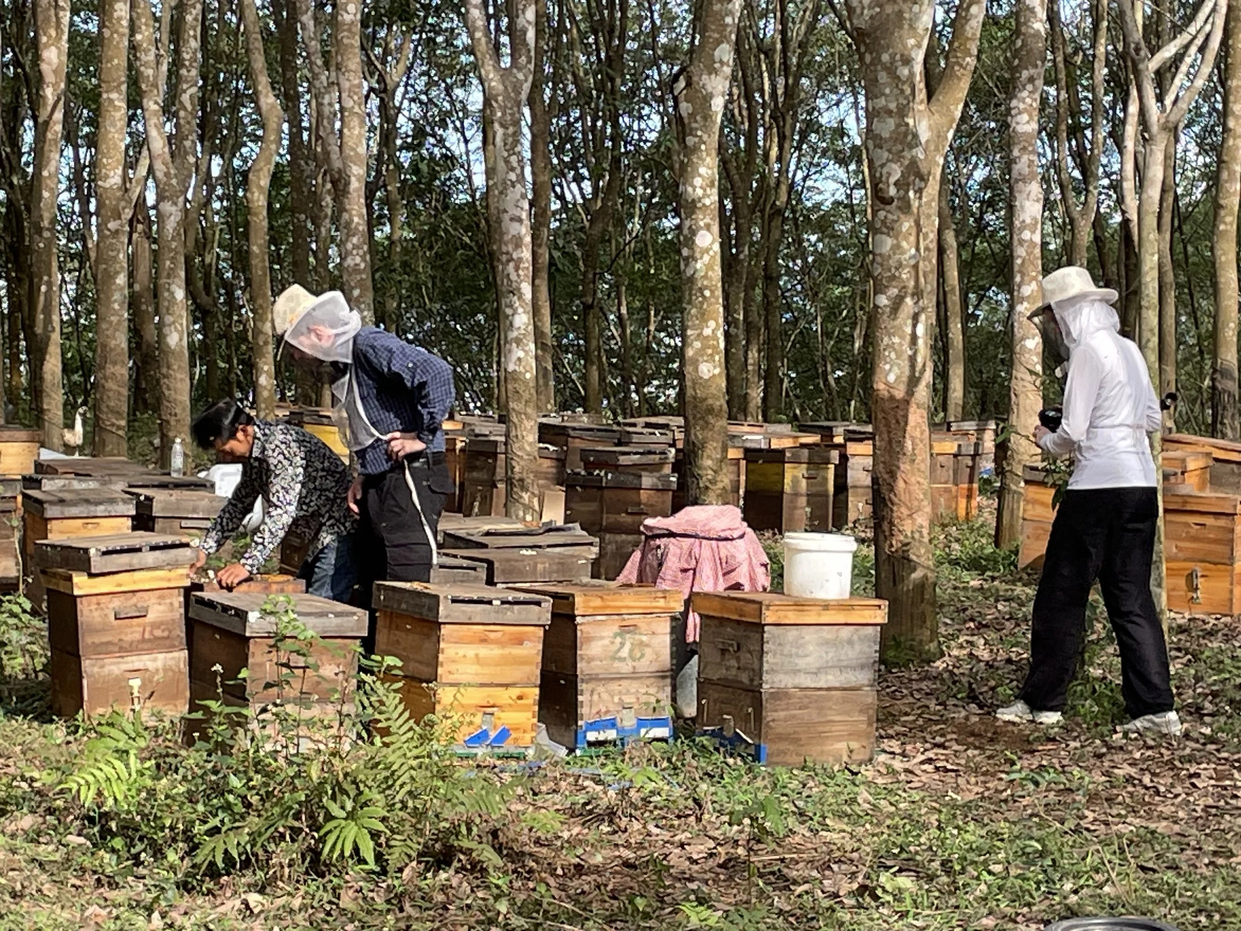 Beekeeping couple in Xishuangbanna