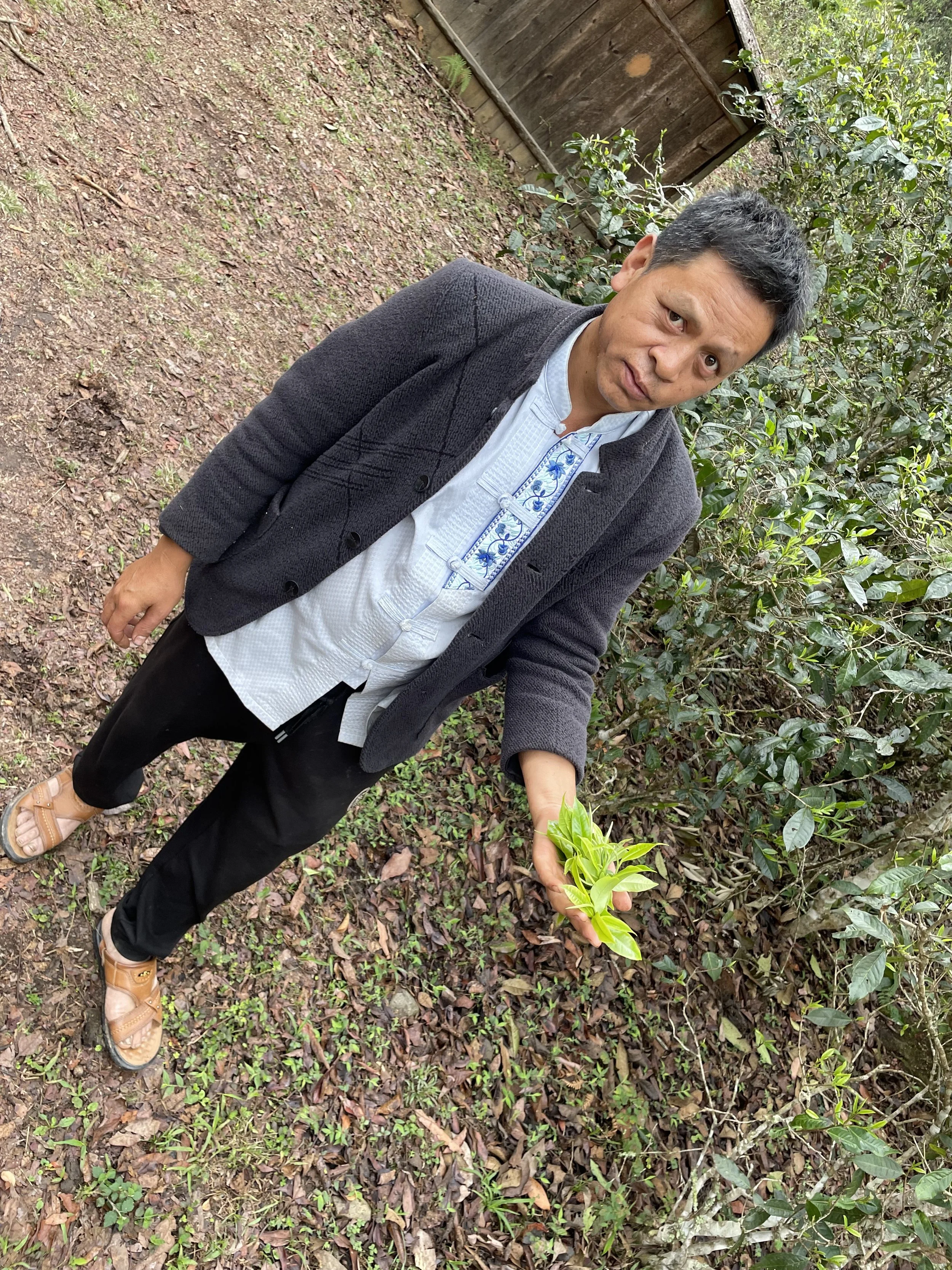 A man standing outdoors on a dirt path next to leafy bushes, holding a small green plant in his right hand, wearing a gray blazer, embroidered white shirt, black pants, and tan sandals, looking at the camera.