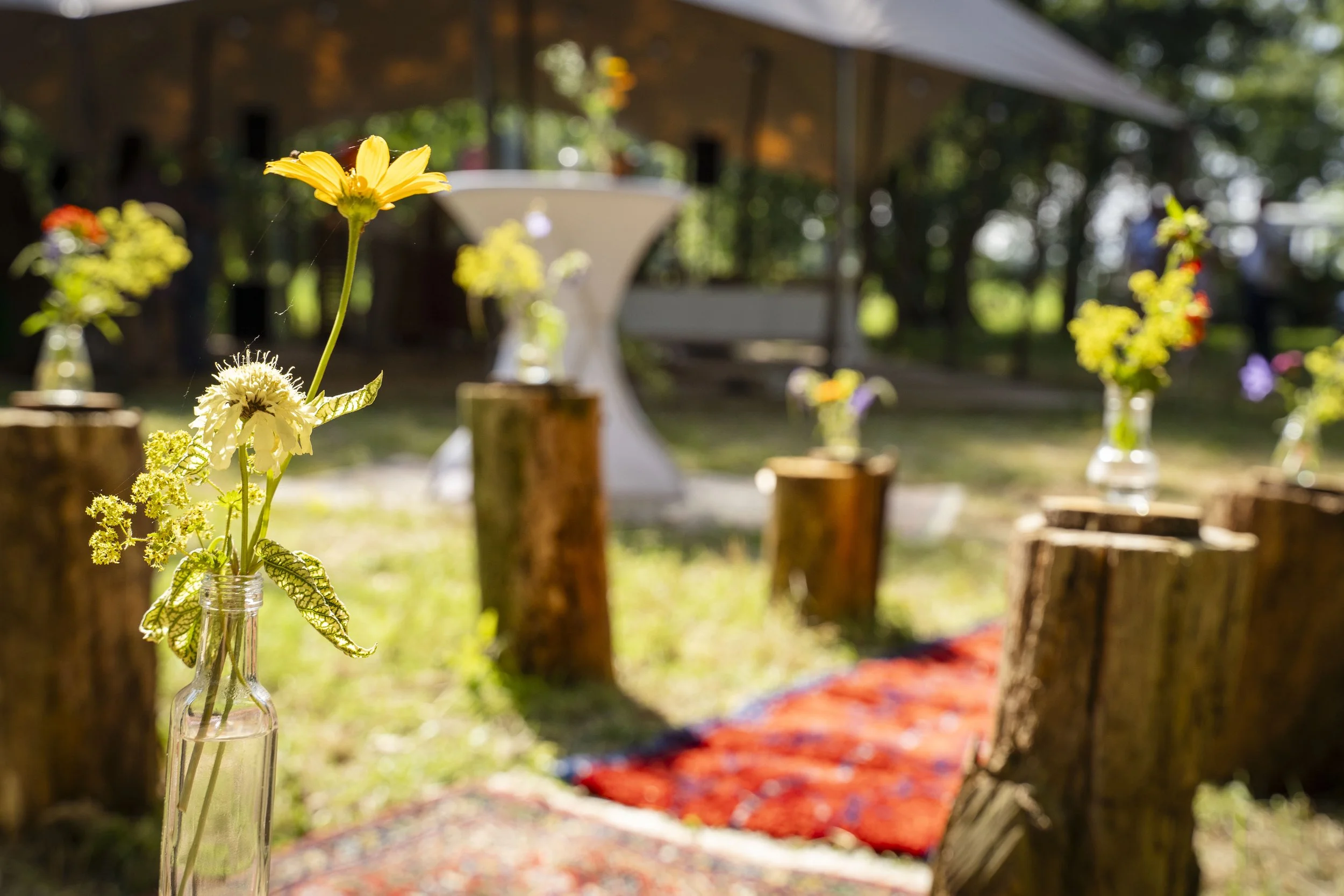 DSC05986 kopiëren.jpg