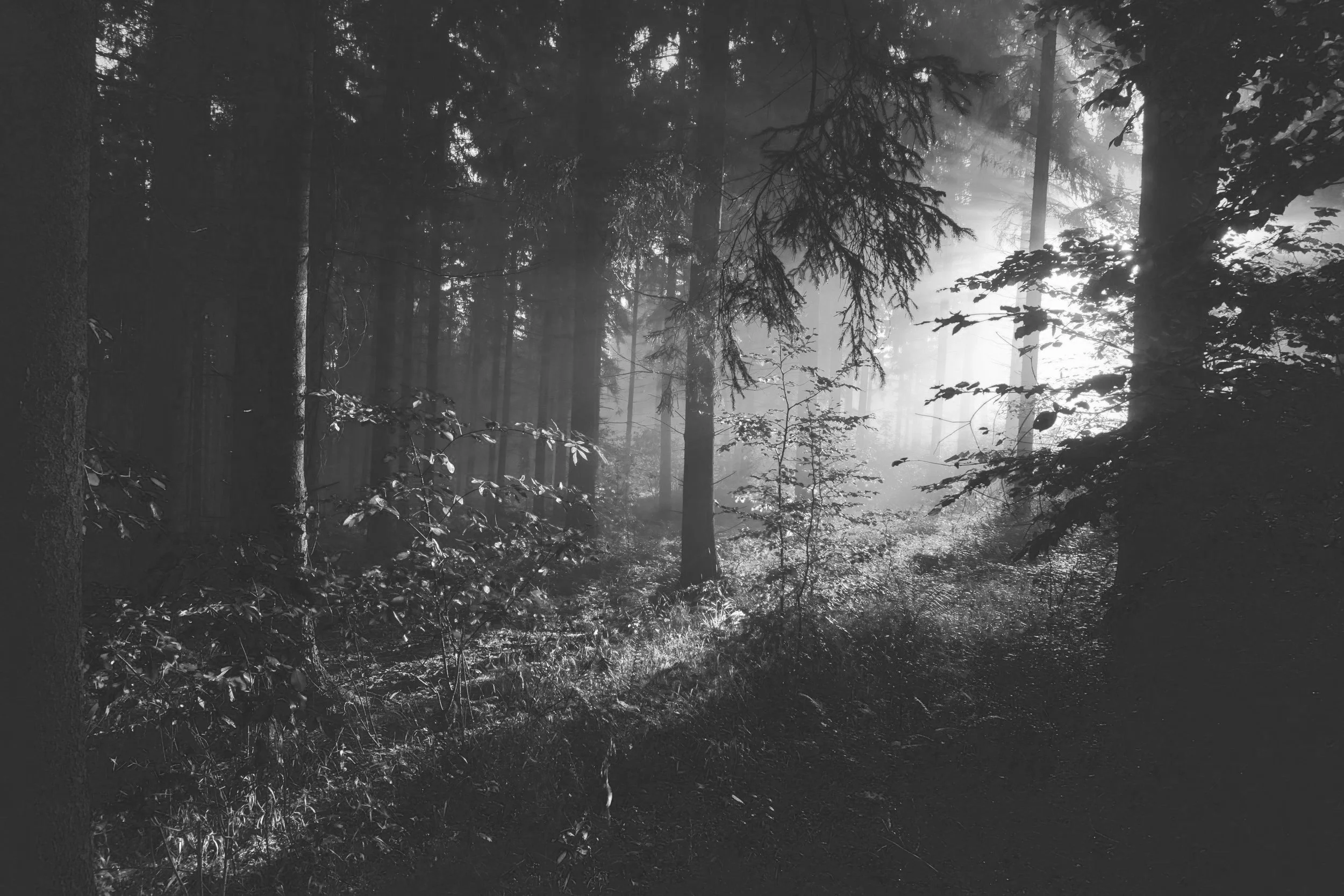 sebastian-unrau-sp-p7uuT0tw-unsplash.jpg