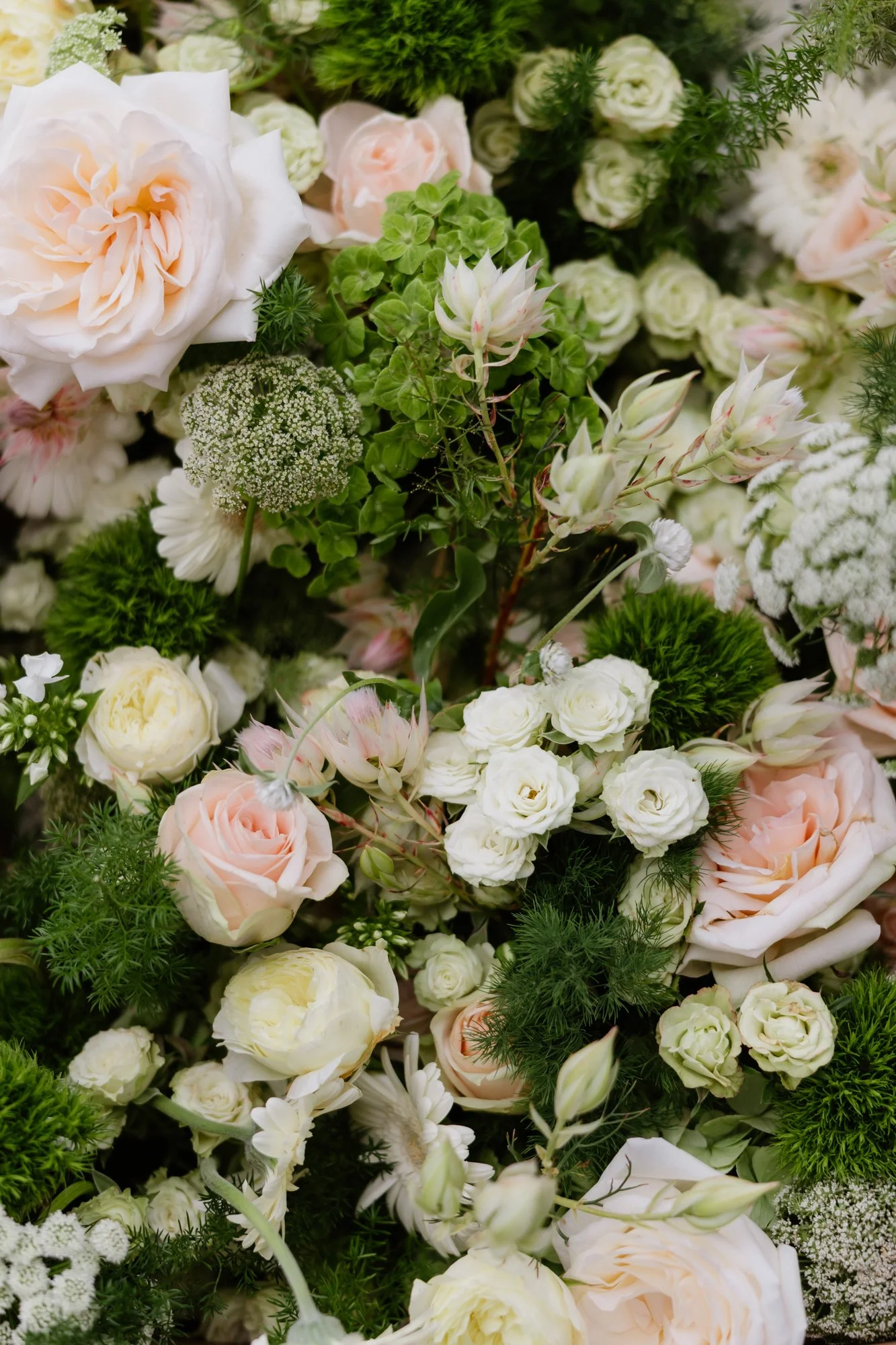 Michelle Schenzel - Portfolio-Mallorca 2025-1-.jpg