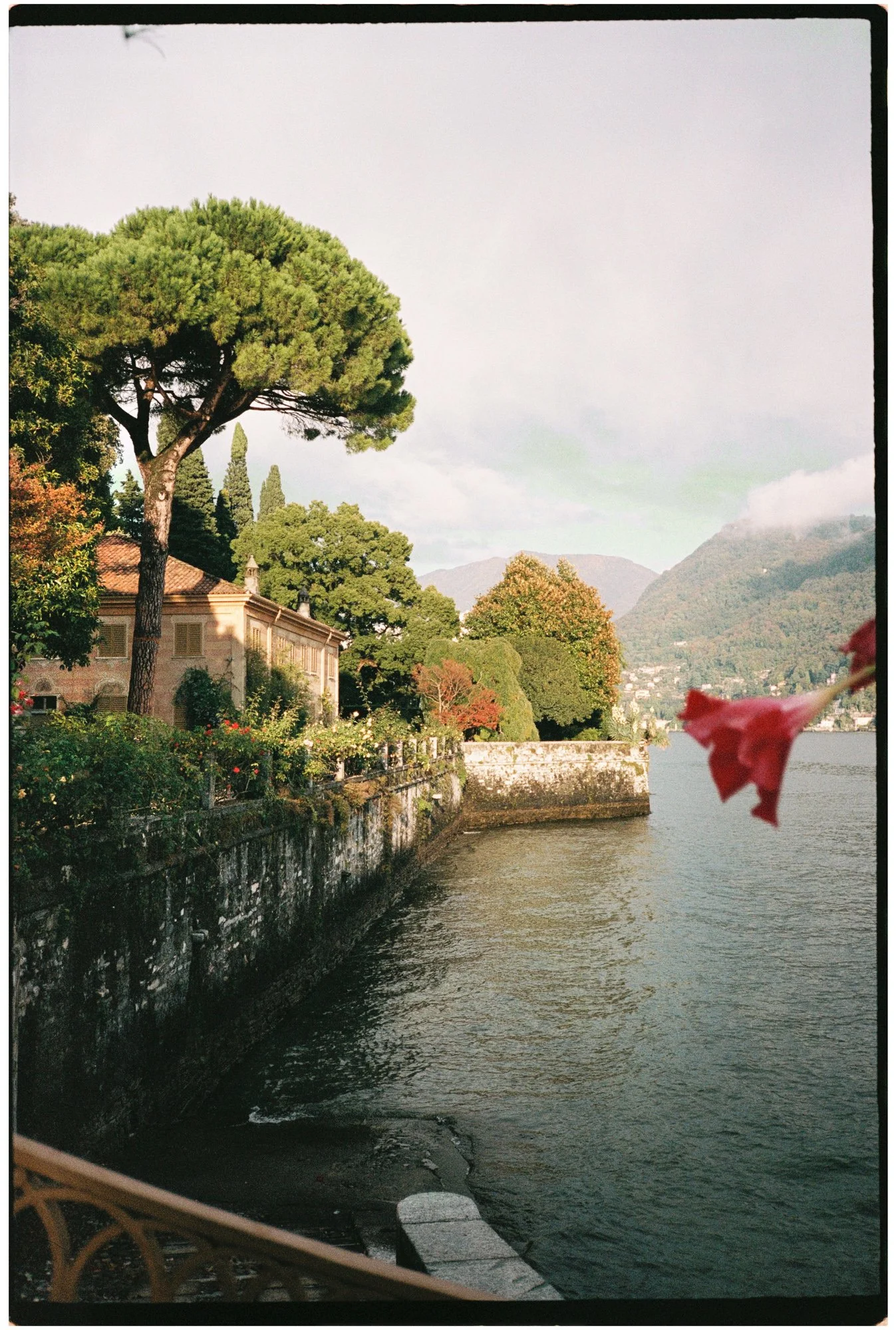 Michelle Schenzel - Portfolio-analoge Fotos 2025-8-.jpg