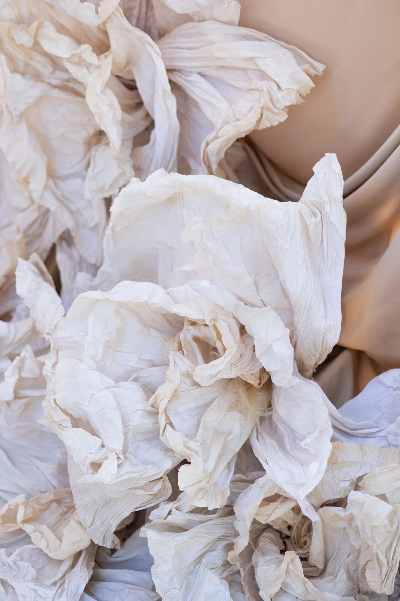 Michelle Schenzel - Portfolio 2025-258-.jpg