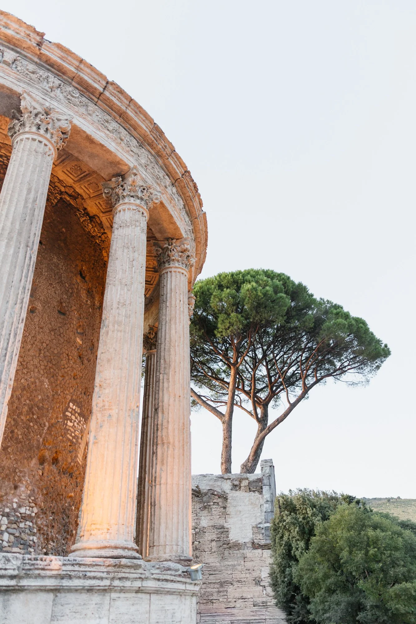 Michelle Schenzel - Portfolio 2025-208-.jpg