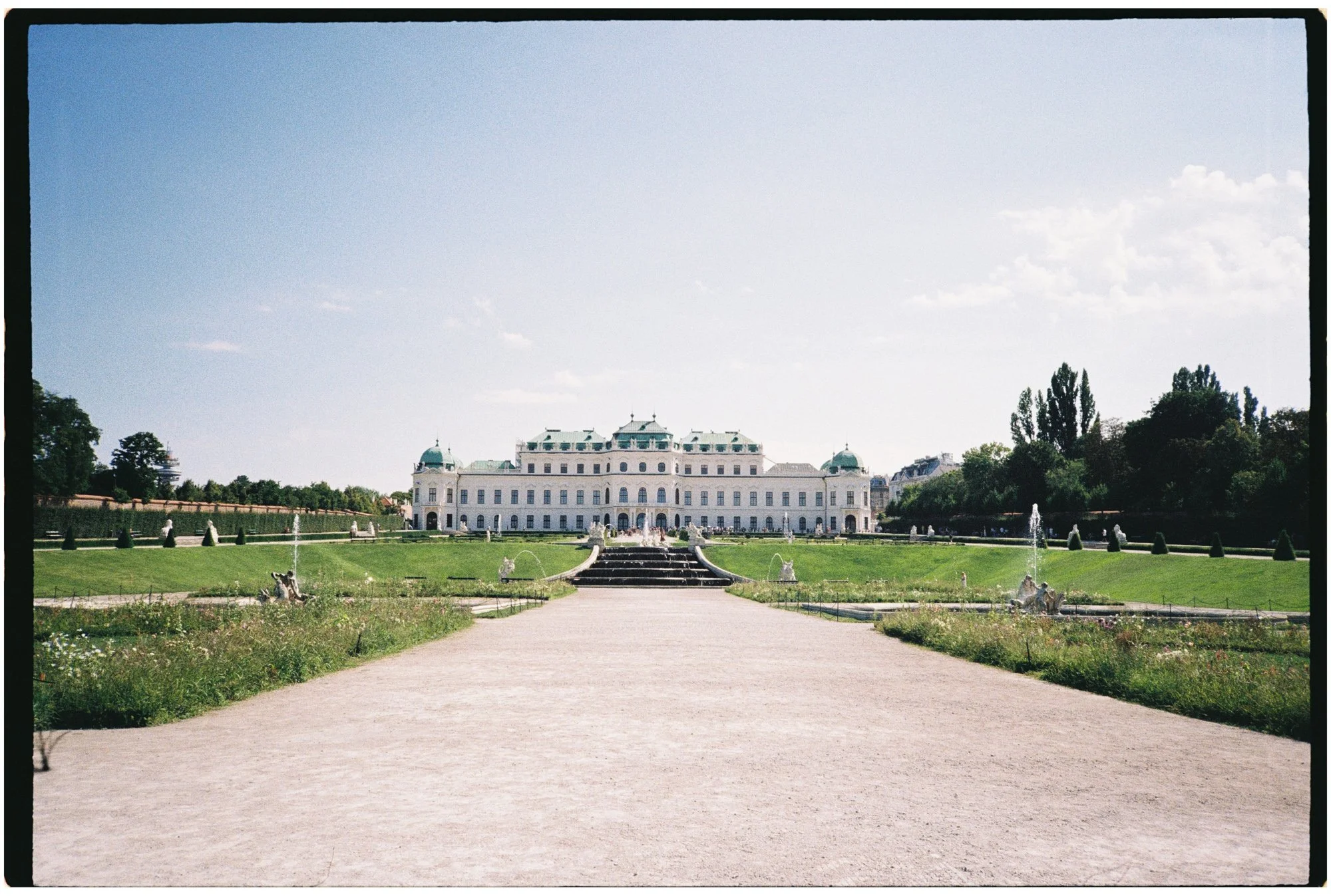 Michelle Schenzel - Portfolio-analoge Fotos 2025-3-.jpg