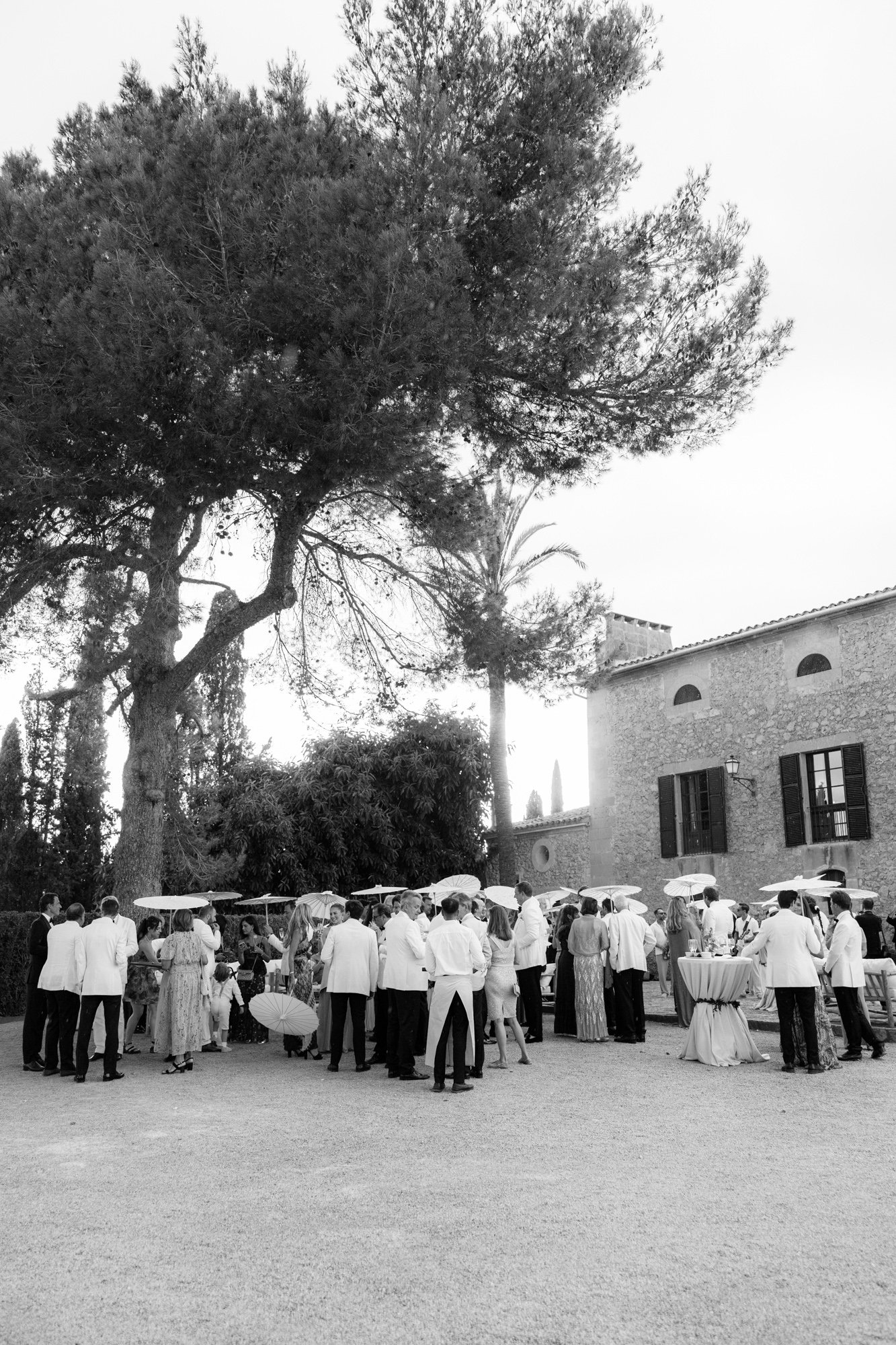 Michelle Schenzel - Portfolio-Mallorca 2025-11-.jpg