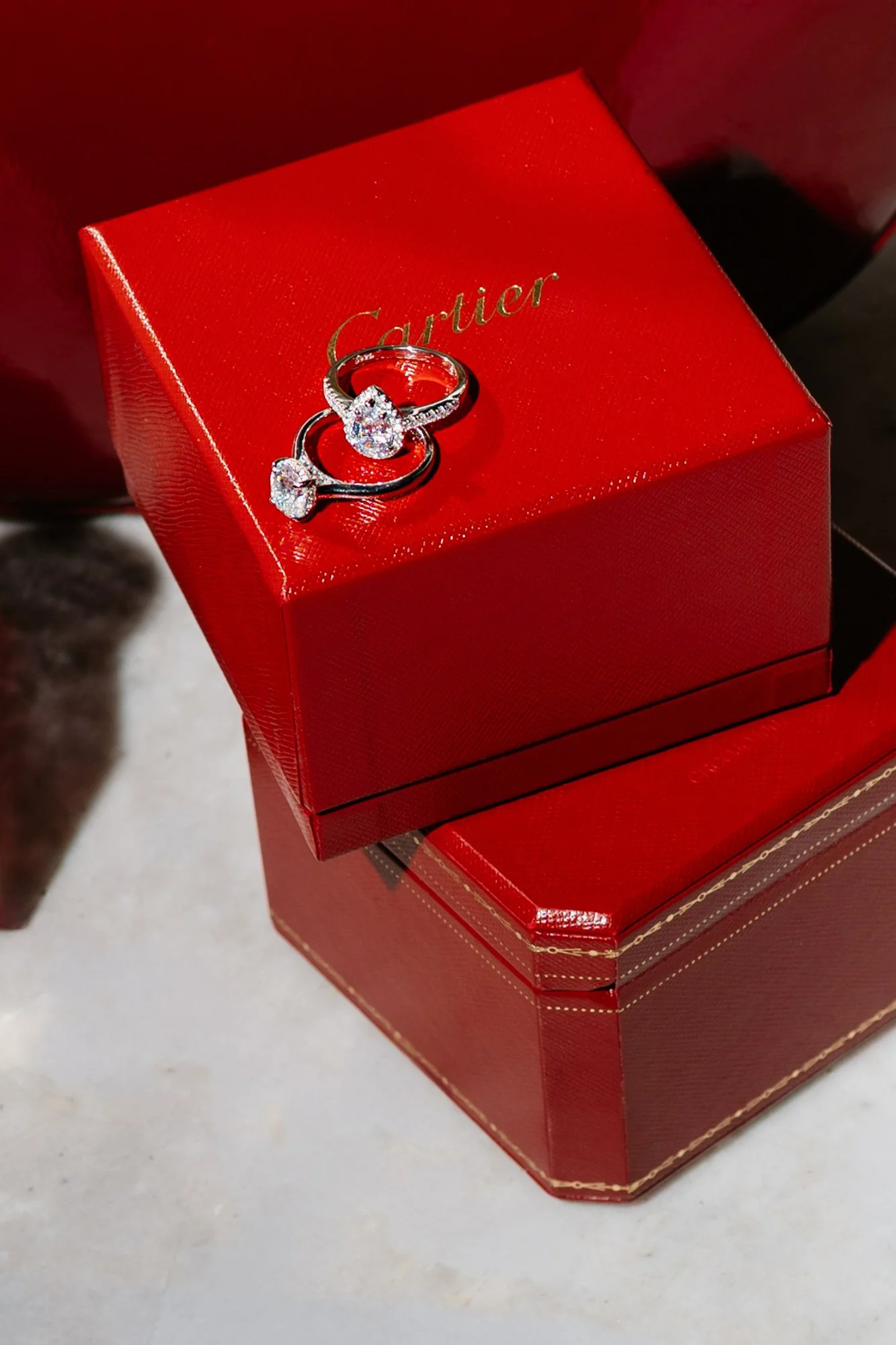 Michelle Schenzel - Portfolio 2025-412-.jpg