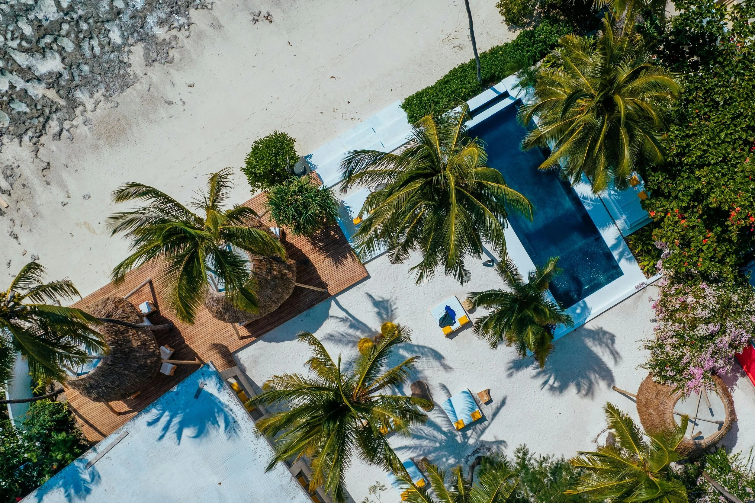 Beachfront property in Zanzibar