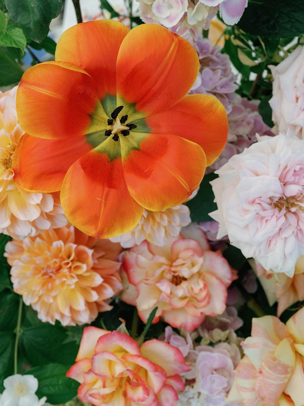 Love the pop of colour at Alice and Vlad&rsquo;s wedding, so Summery and fun 🧡🍊
⠀⠀⠀⠀⠀⠀⠀⠀⠀
📸 @Jamesbennettphoto
Planner extraordinaire @samanthaburke_events