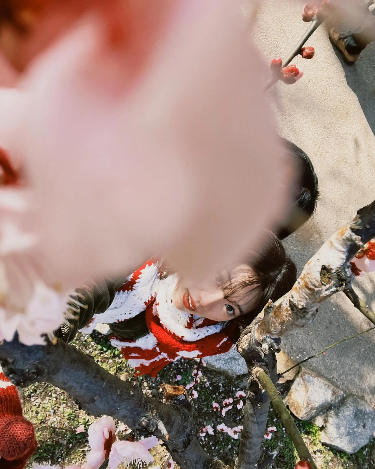 ume no Hana 🌸*･

#北野天満宮 #梅の花 #plumblossom