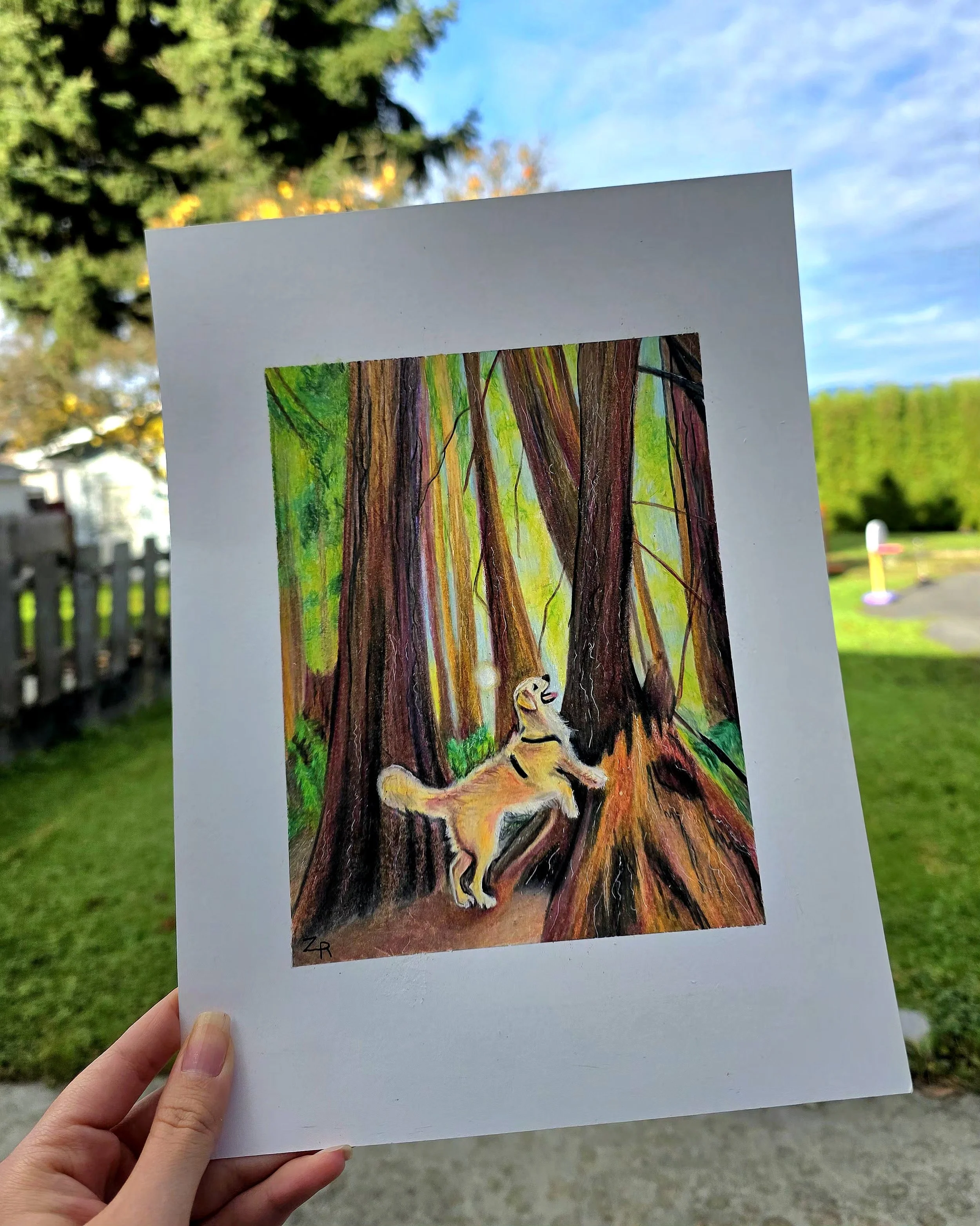 A hand holding a colorful drawing of a forest scene with two dogs among tall trees, set against a bright outdoor background with a blue sky and greenery.