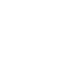 Icon of a smartphone.