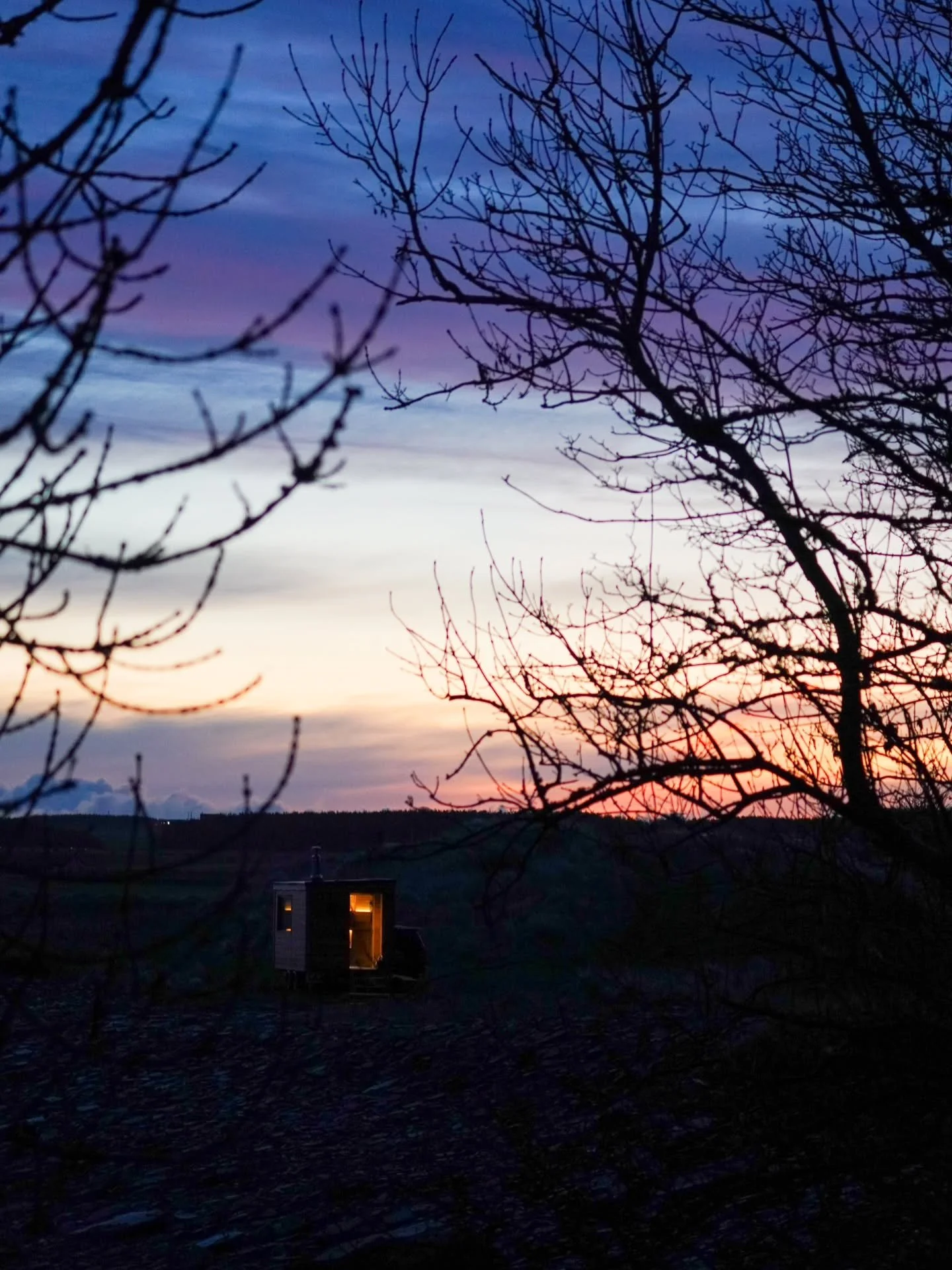 A postcard winter sunrise this morning ❄️🌅

Cold, crisp mornings like this are here now &mdash; so peaceful, with seals bobbing in the morning light, birds waking with the sun, and the ocean calm &amp; still.

What a beautiful place we get to call h