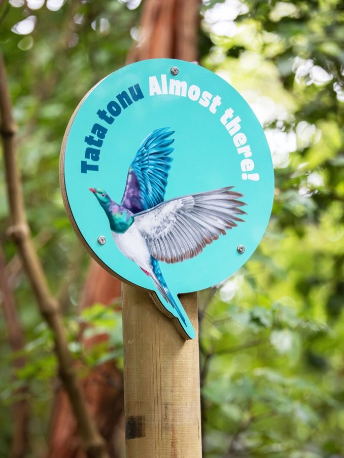 ☀️ The sun&rsquo;s has been shinning &mdash; which means it&rsquo;s the perfect time for a new whānau adventure! If you haven&rsquo;t been to Piki&rsquo;s Perch at @nga.manu yet&hellip; gooo. You&rsquo;ll love it.

Follow Piki the kererū as he takes 