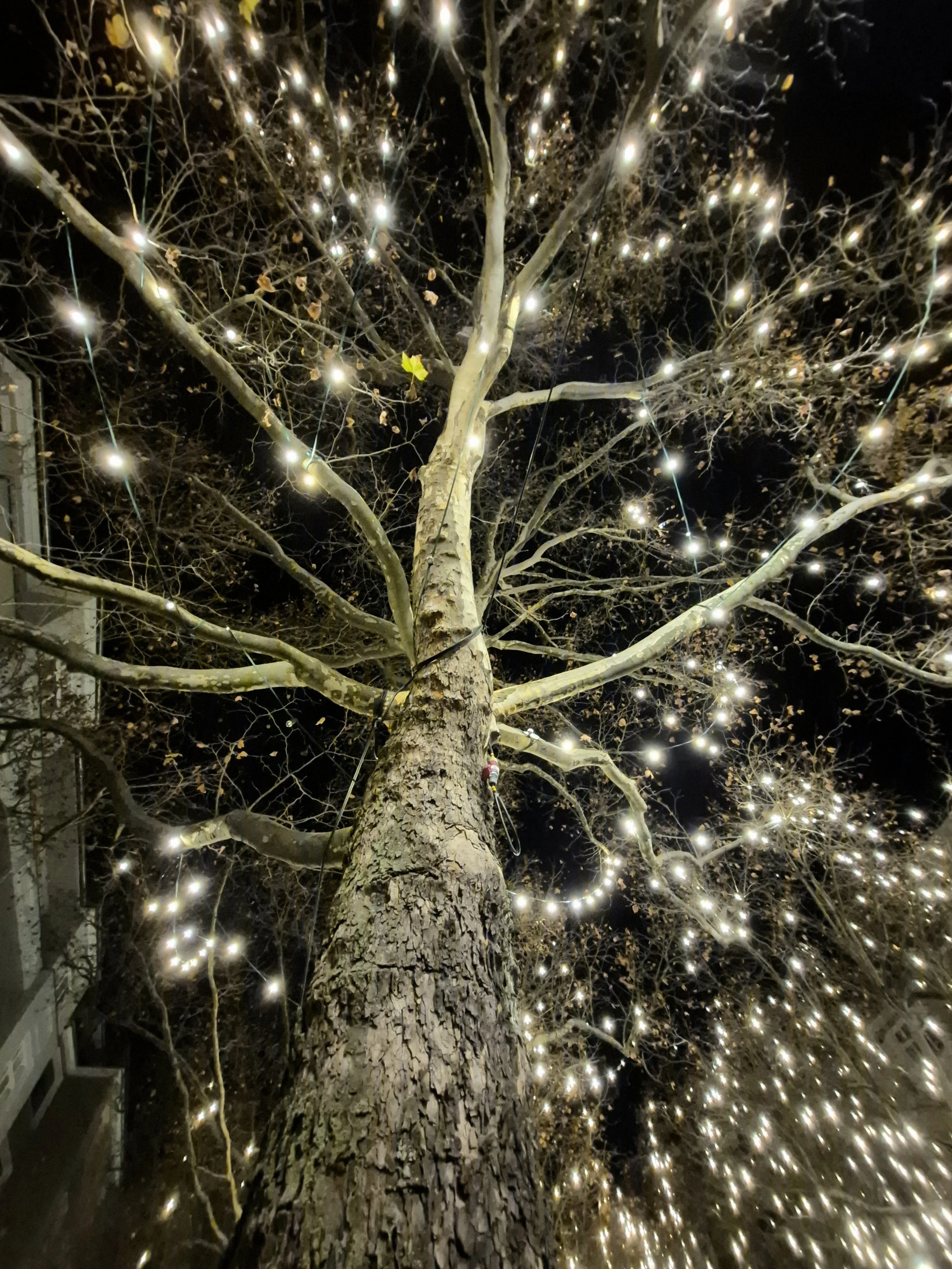 Weihnachten im Hochleistungsmodus …