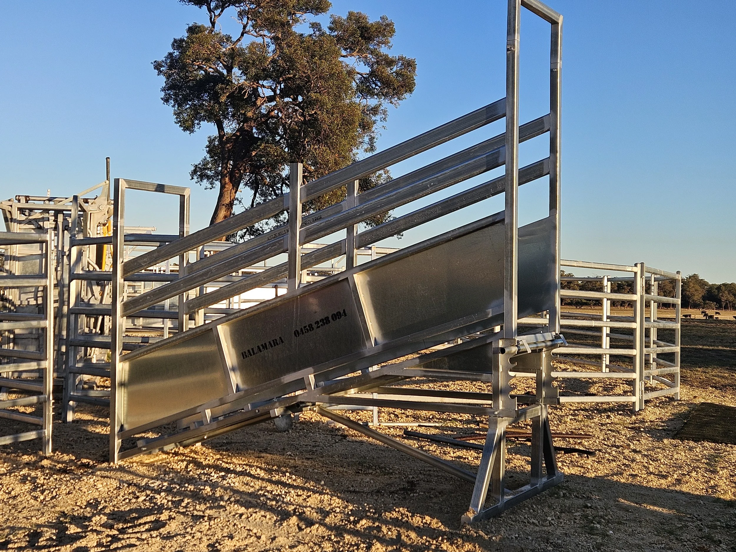 Metal livestock loading ramp in a rural outdoor area with trees and a clear sky.
